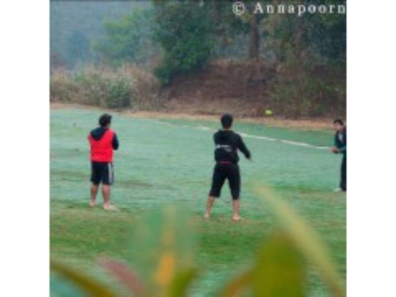 Photo 12