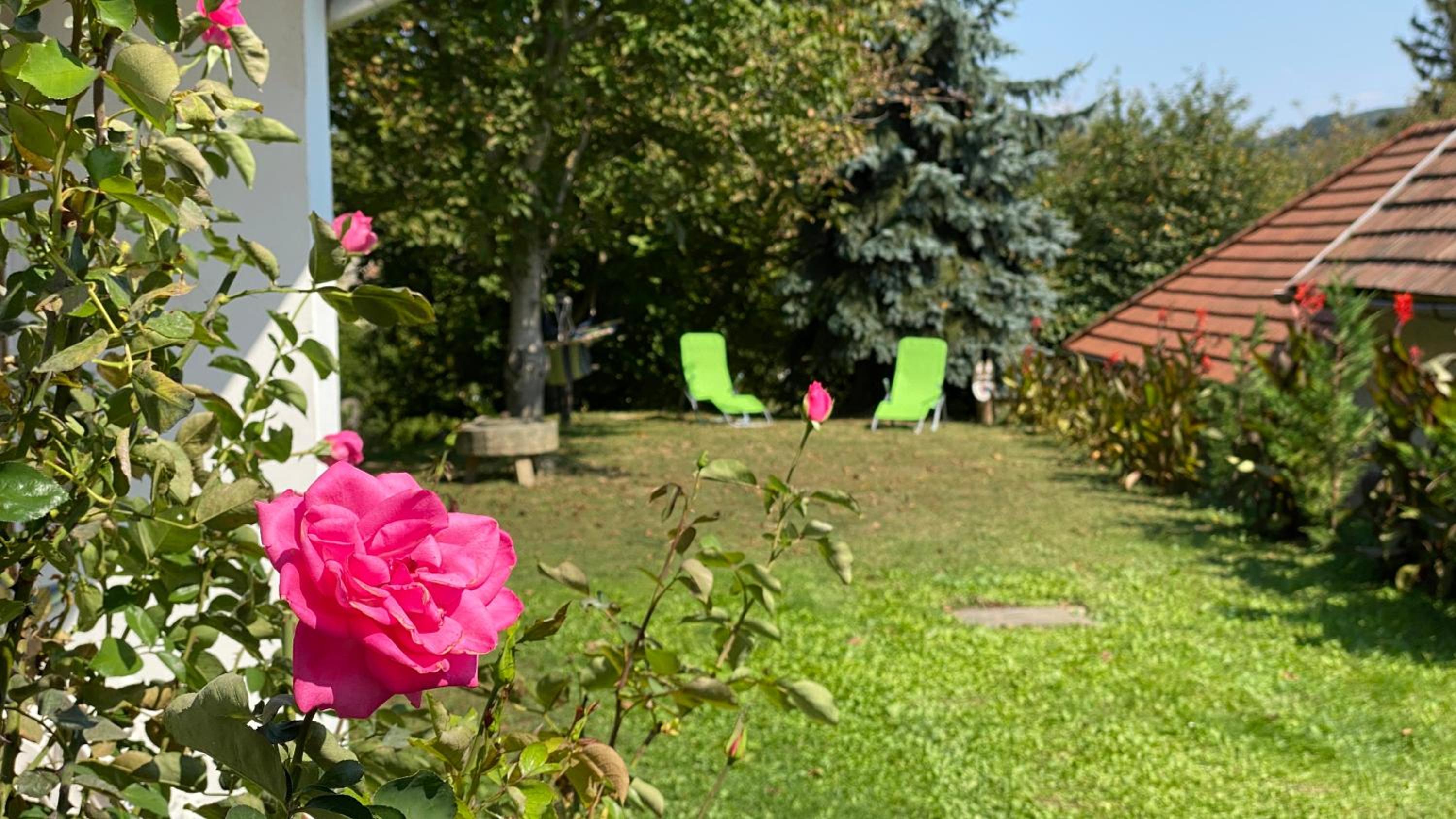 Bakonyi Vadász Háza view 4
