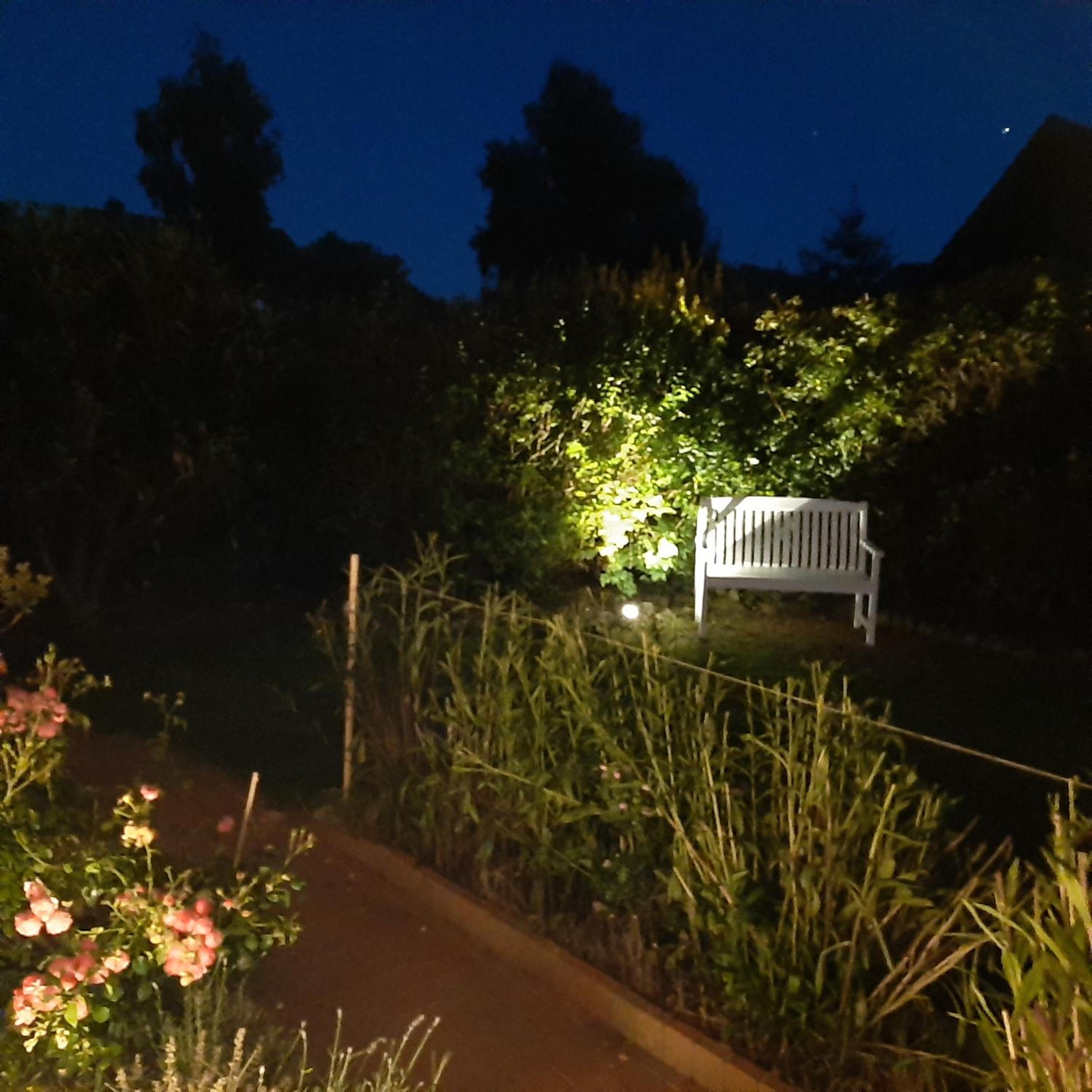 Nordstern, photo 61