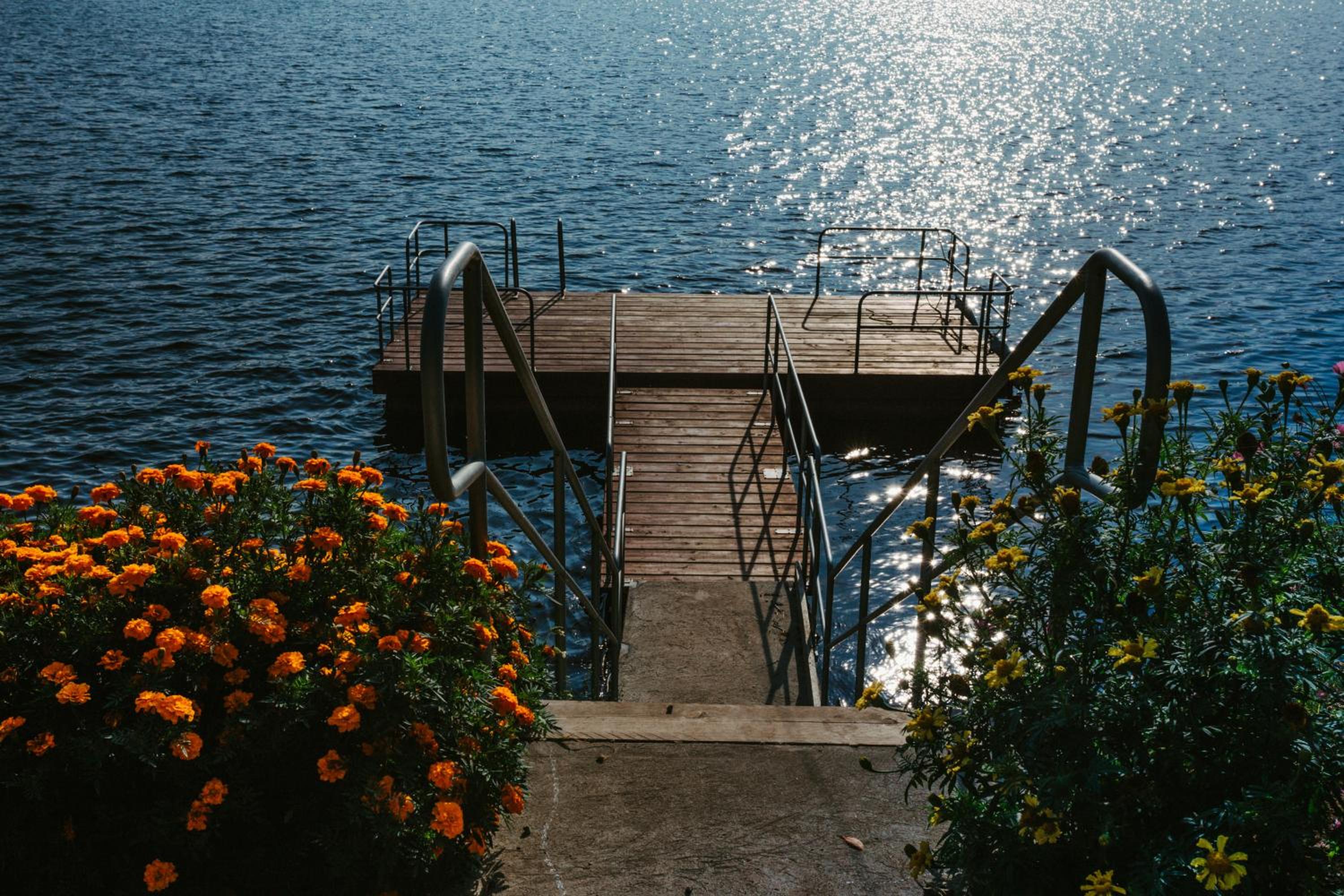 Photo 15