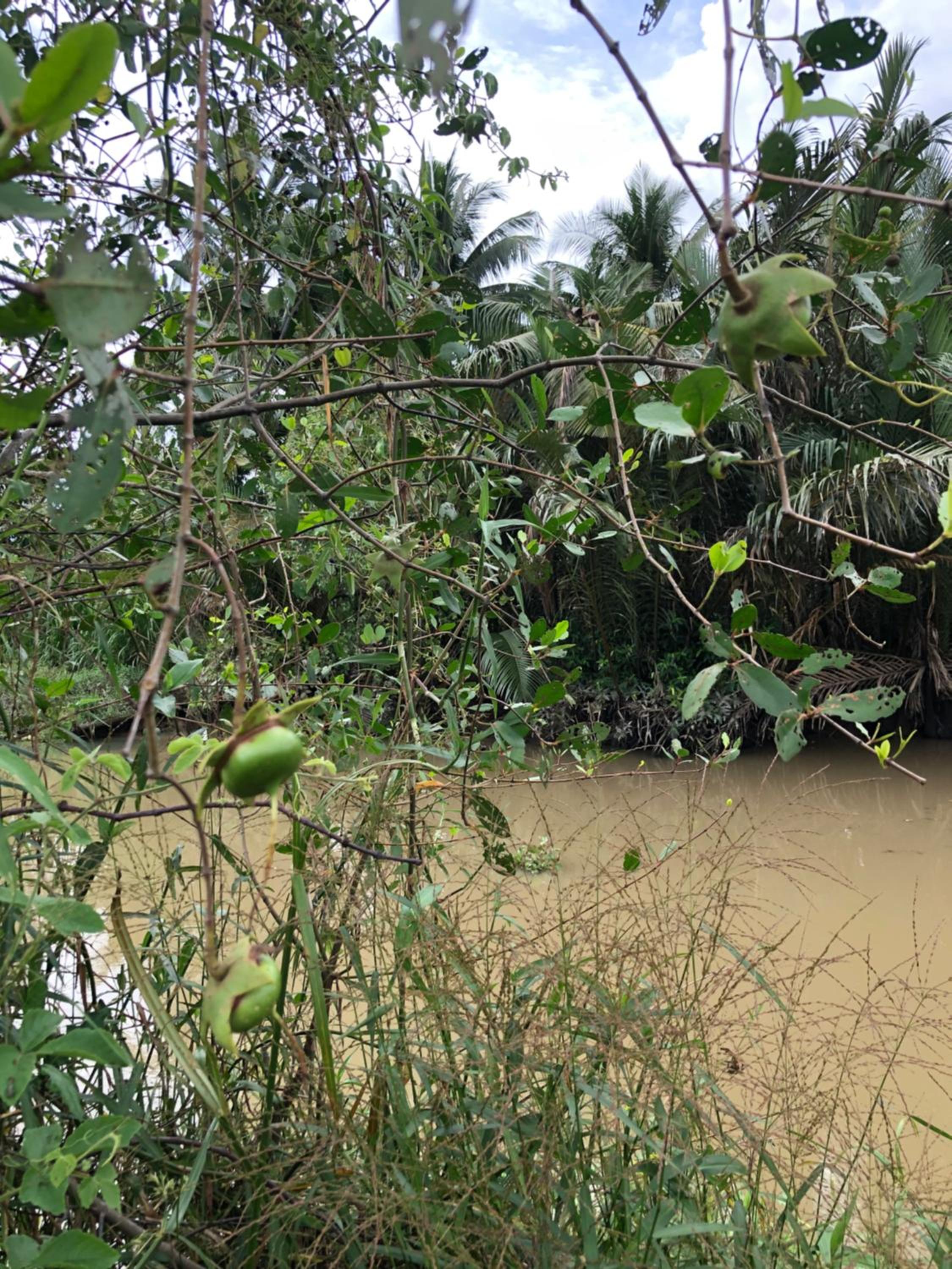 Bầu Bí Mini Farmstay Mekong - Tiền Giang view 5