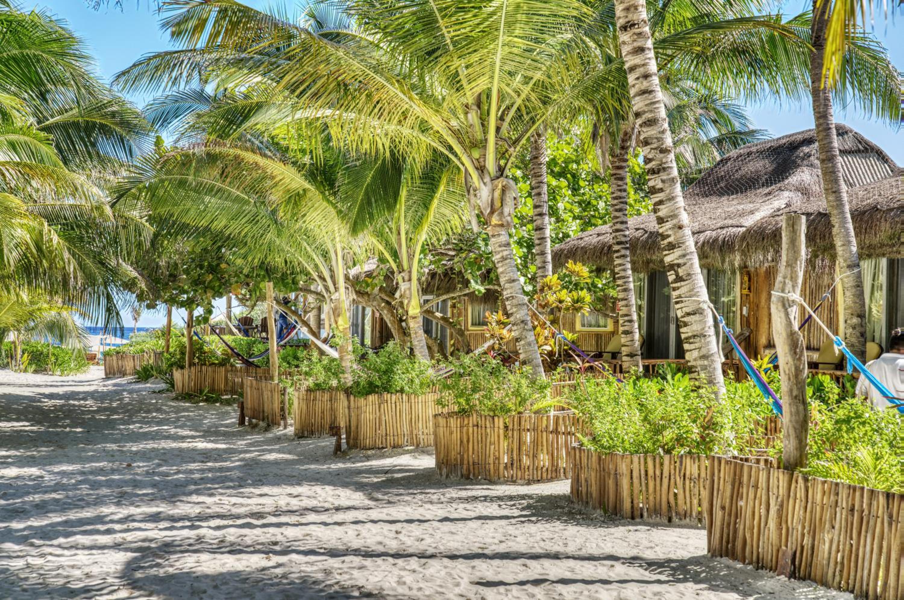 Villa Pescadores Tulum - Property Image 77