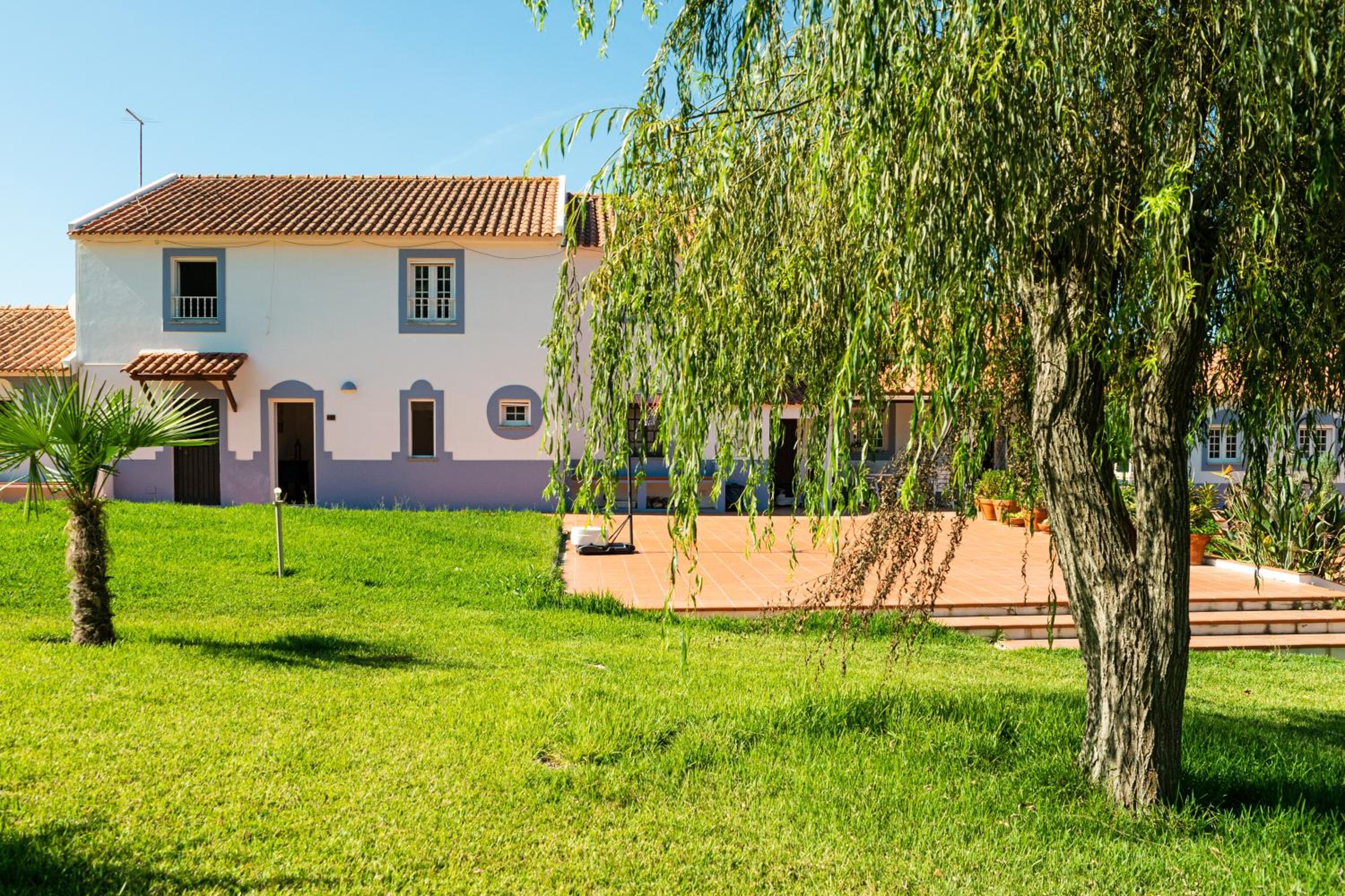 Cerca Velha Alentejo House view 4
