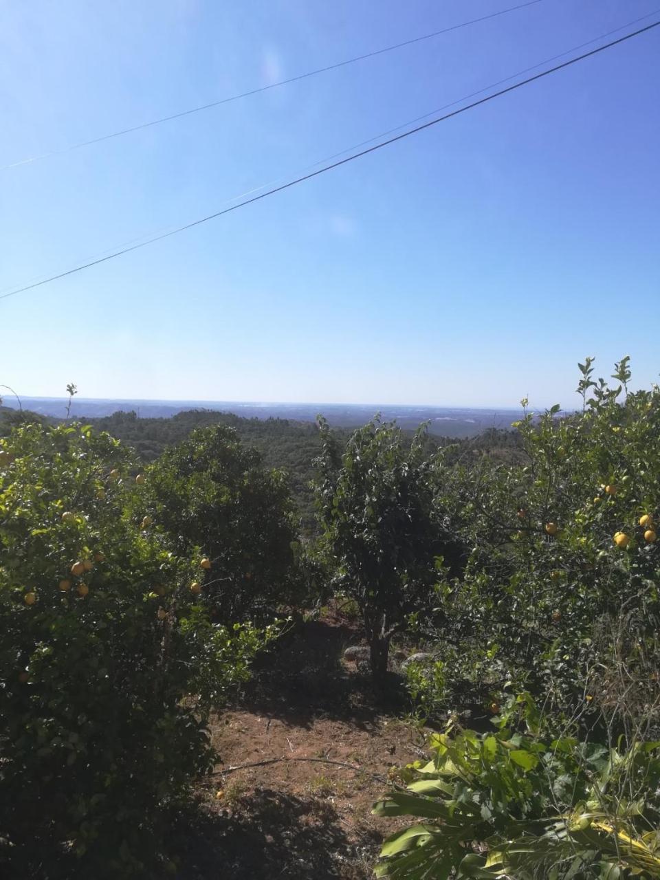 Monchique Typical House view 4