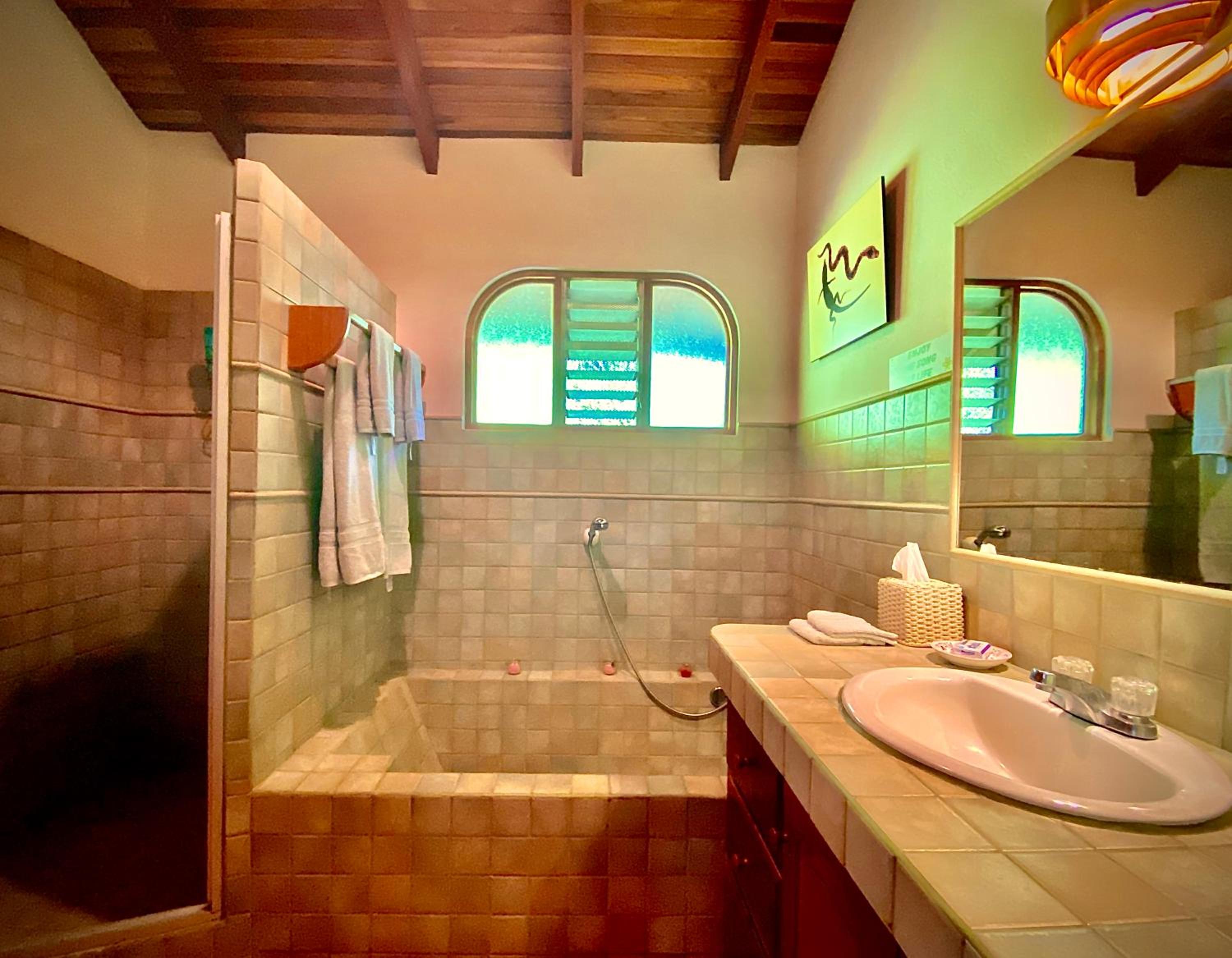 Magic Mountain Views Villa