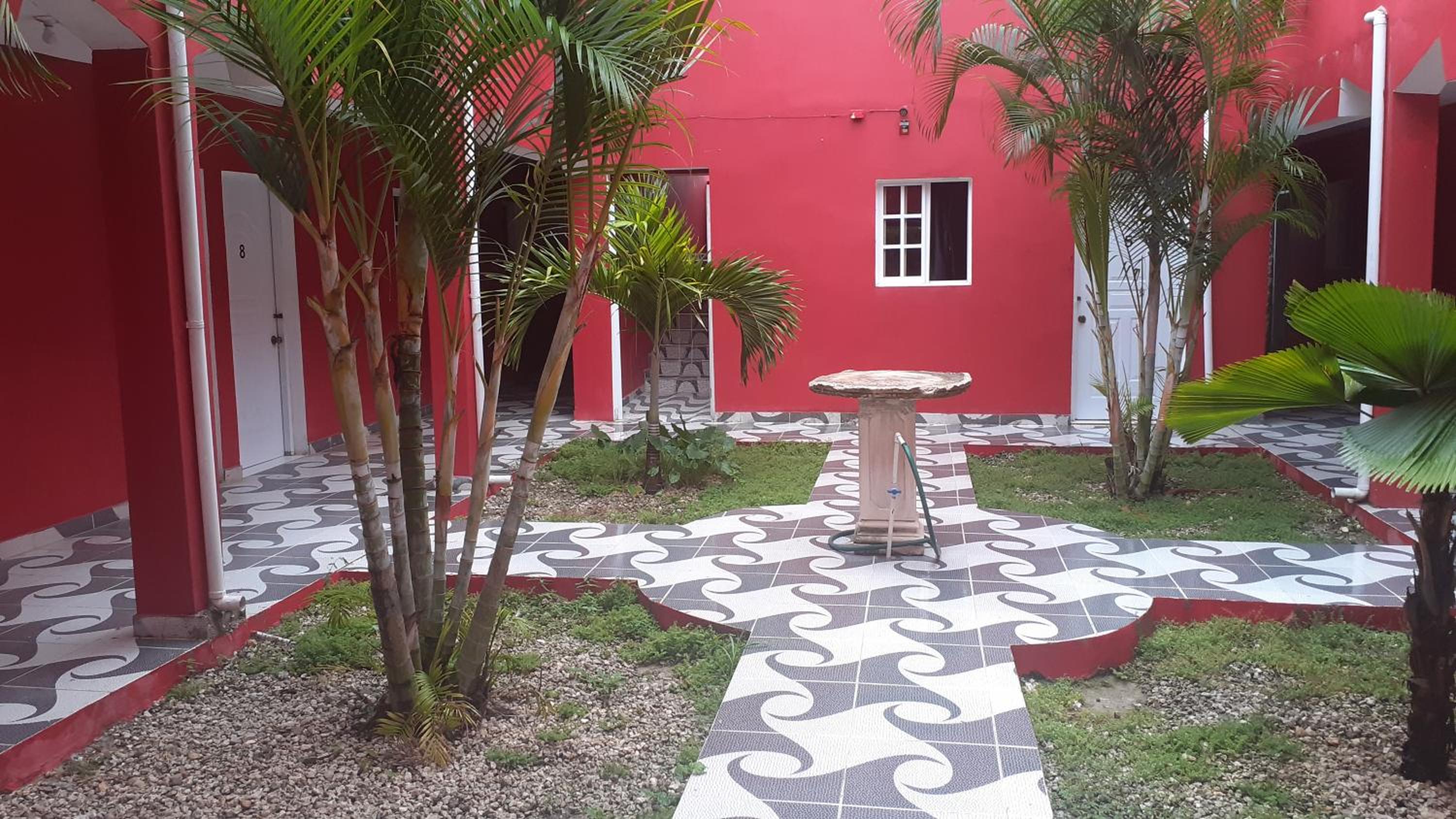 Photo 8