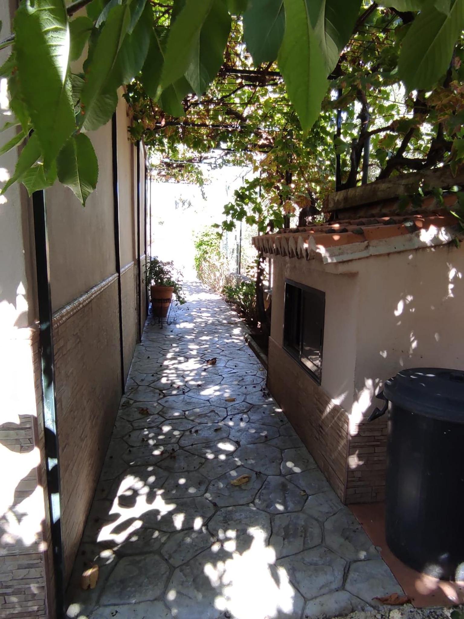 Photo 49
