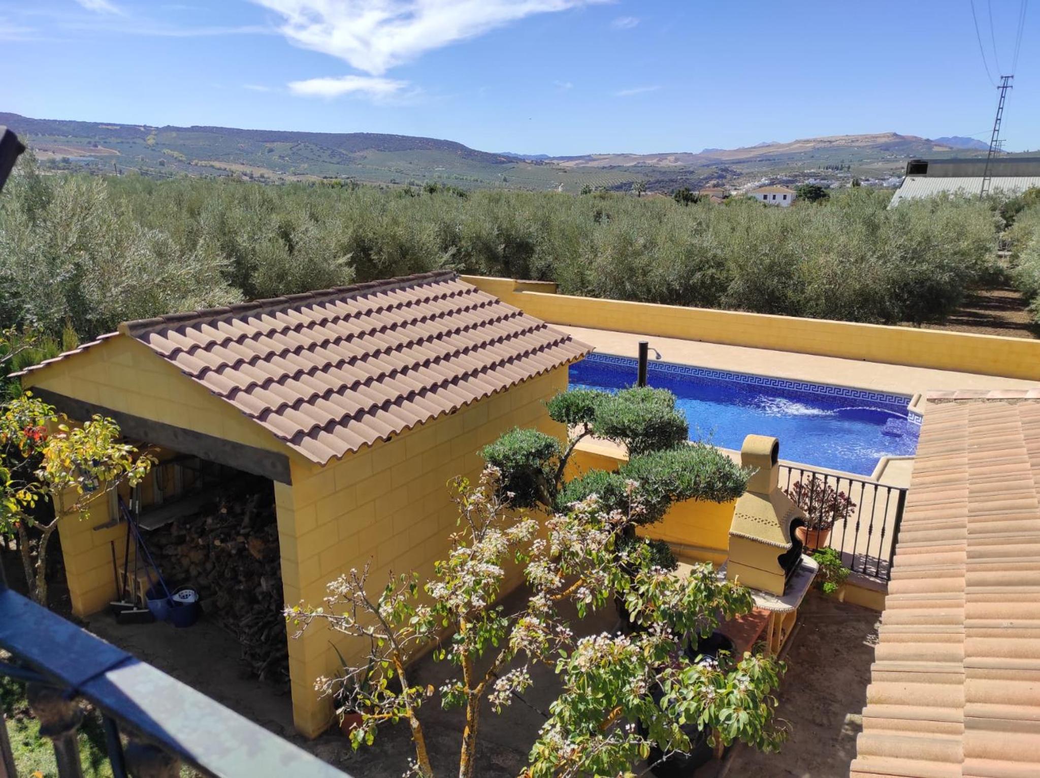 LOS ABUELOS view 3