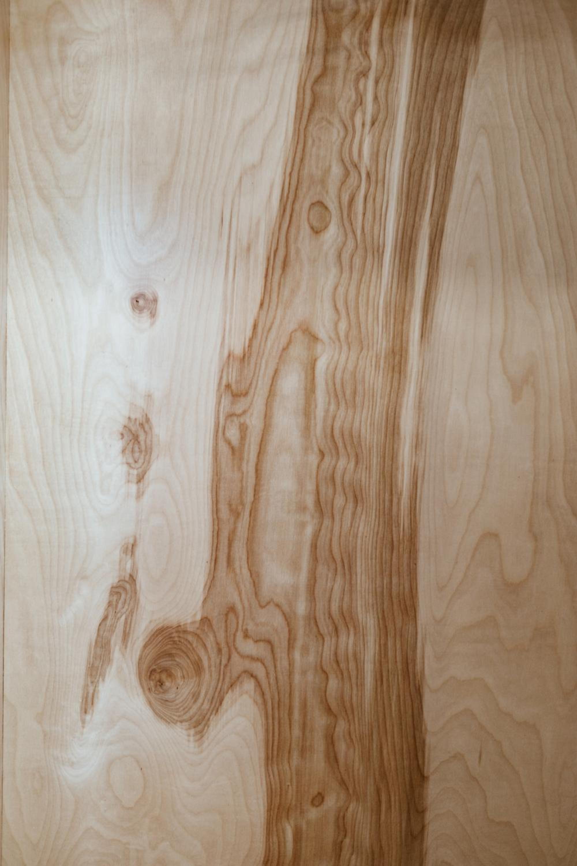 The Flying Steamshovel Inn - Image 5