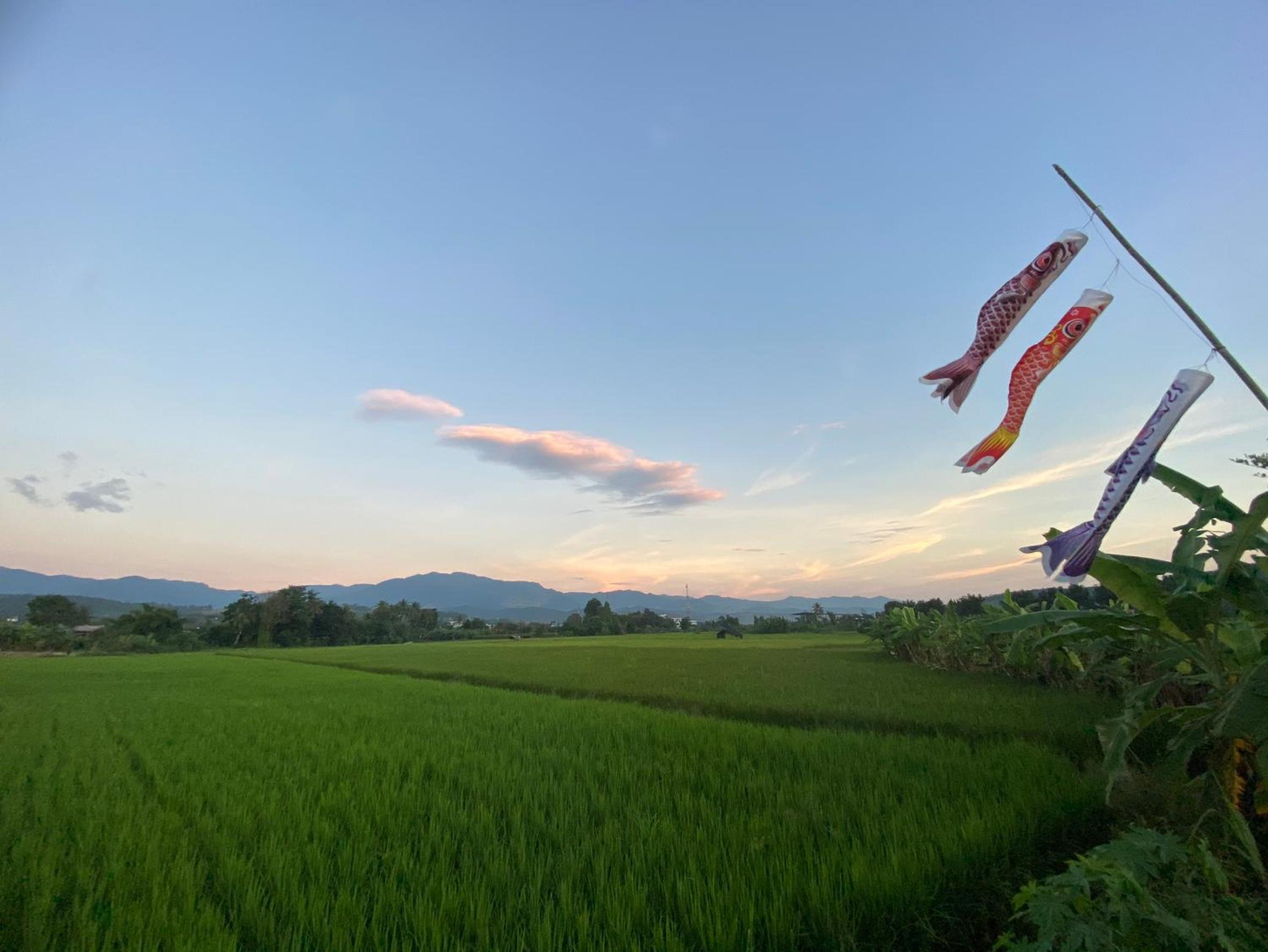 Chadaporn Mae Chaem Hotel view 3