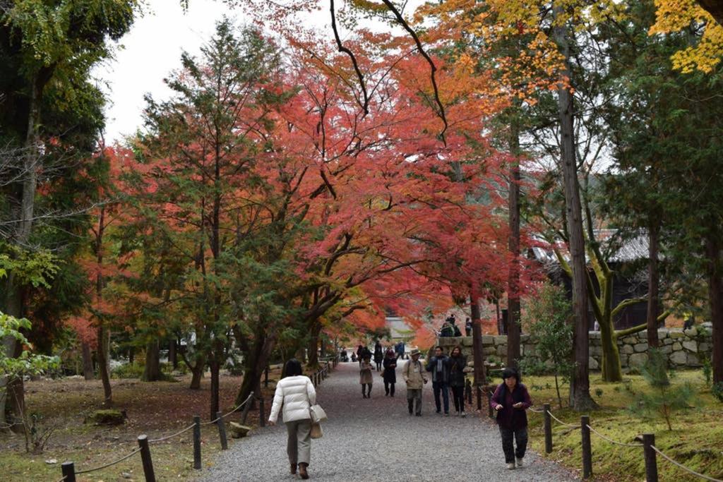 Sanjo Iho-an view 3