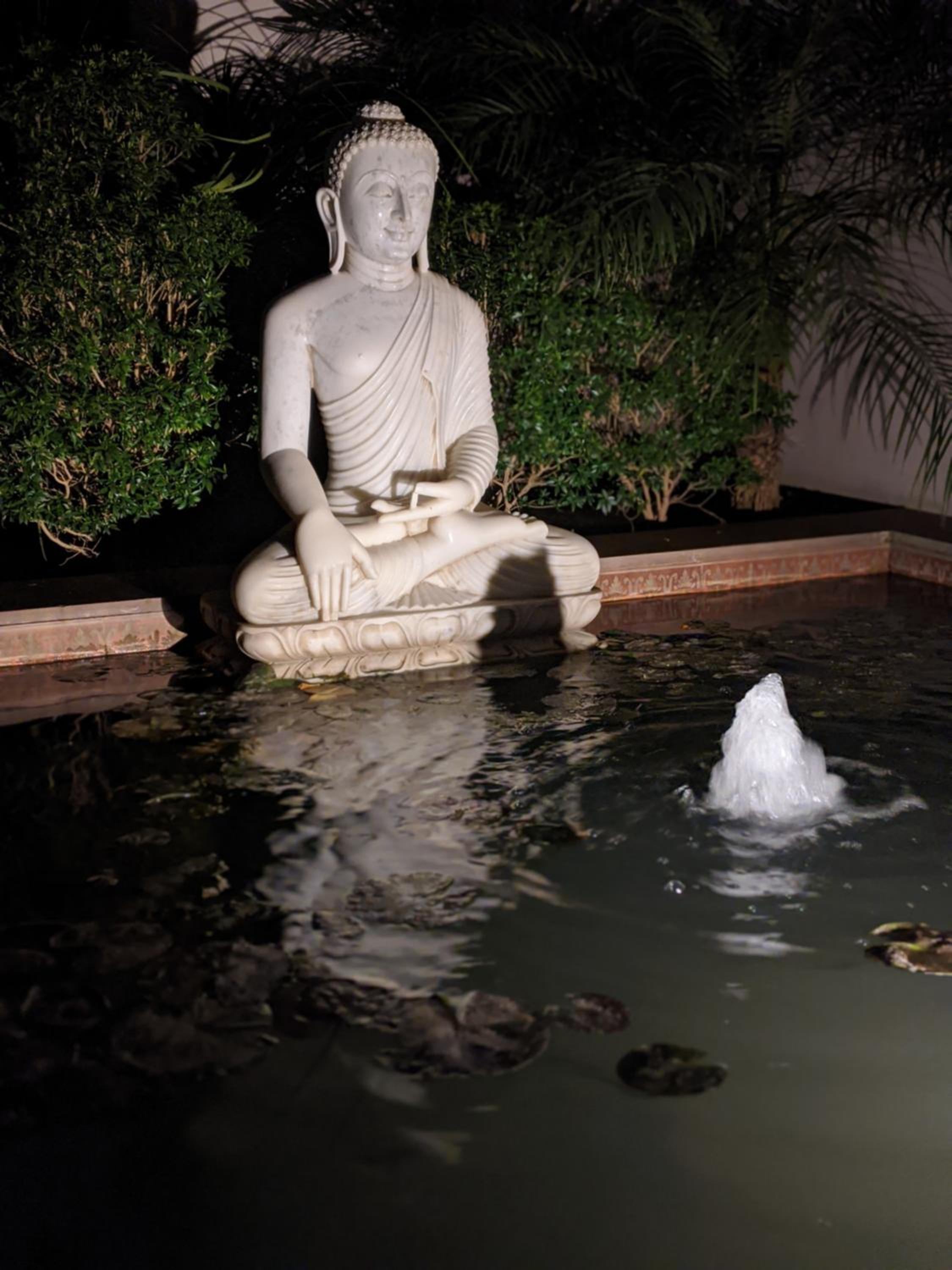 Tree of Life Resort & Spa, Varanasi Tree of Life Resort & Spa, Varanasi