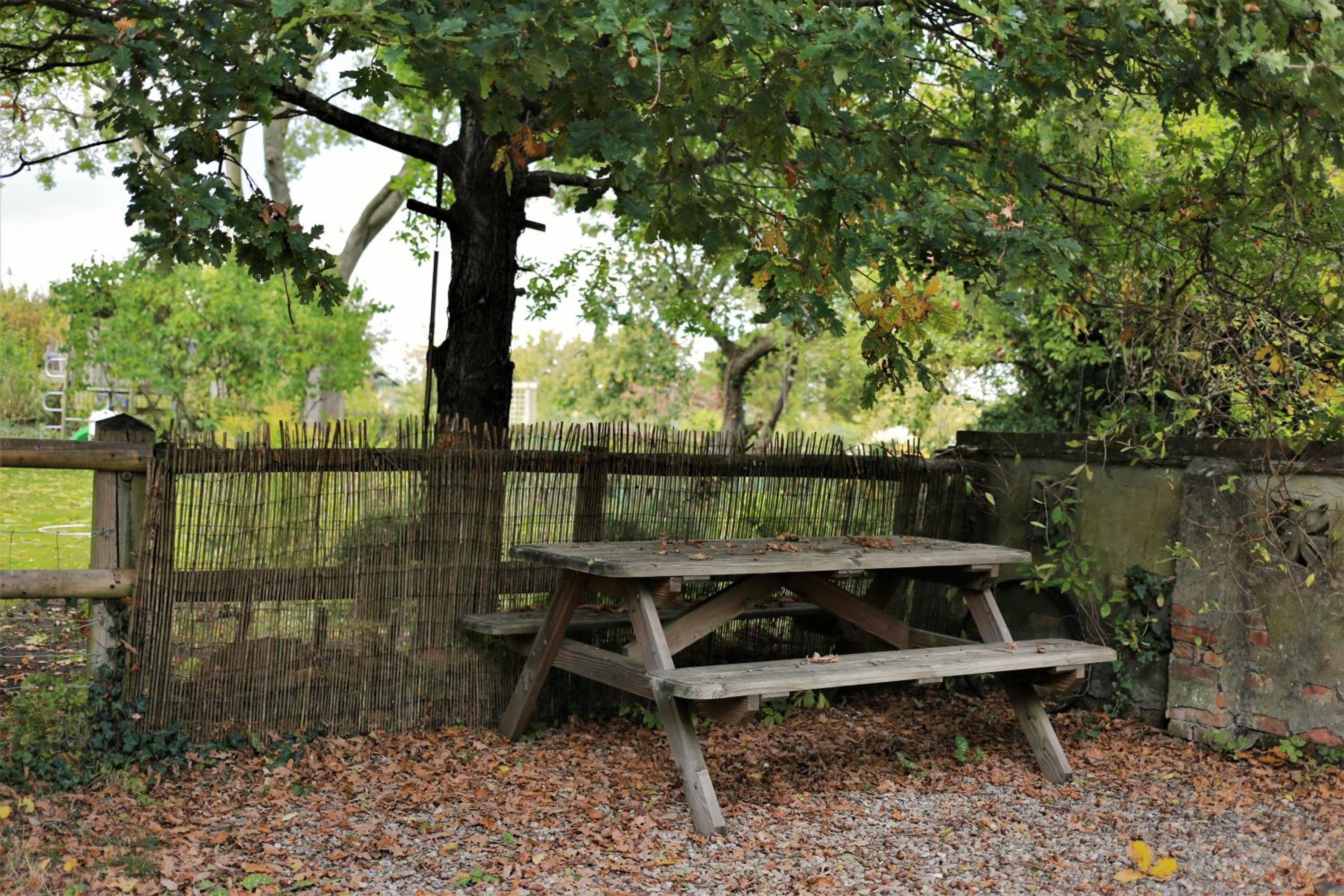 Baptist Cottage view 3
