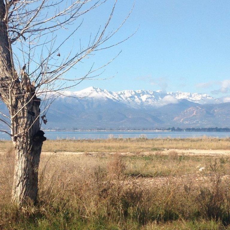 Photo 49