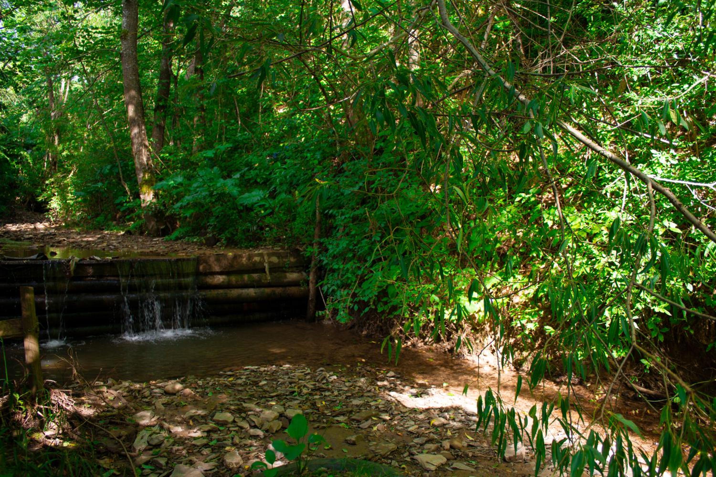 Photo 43