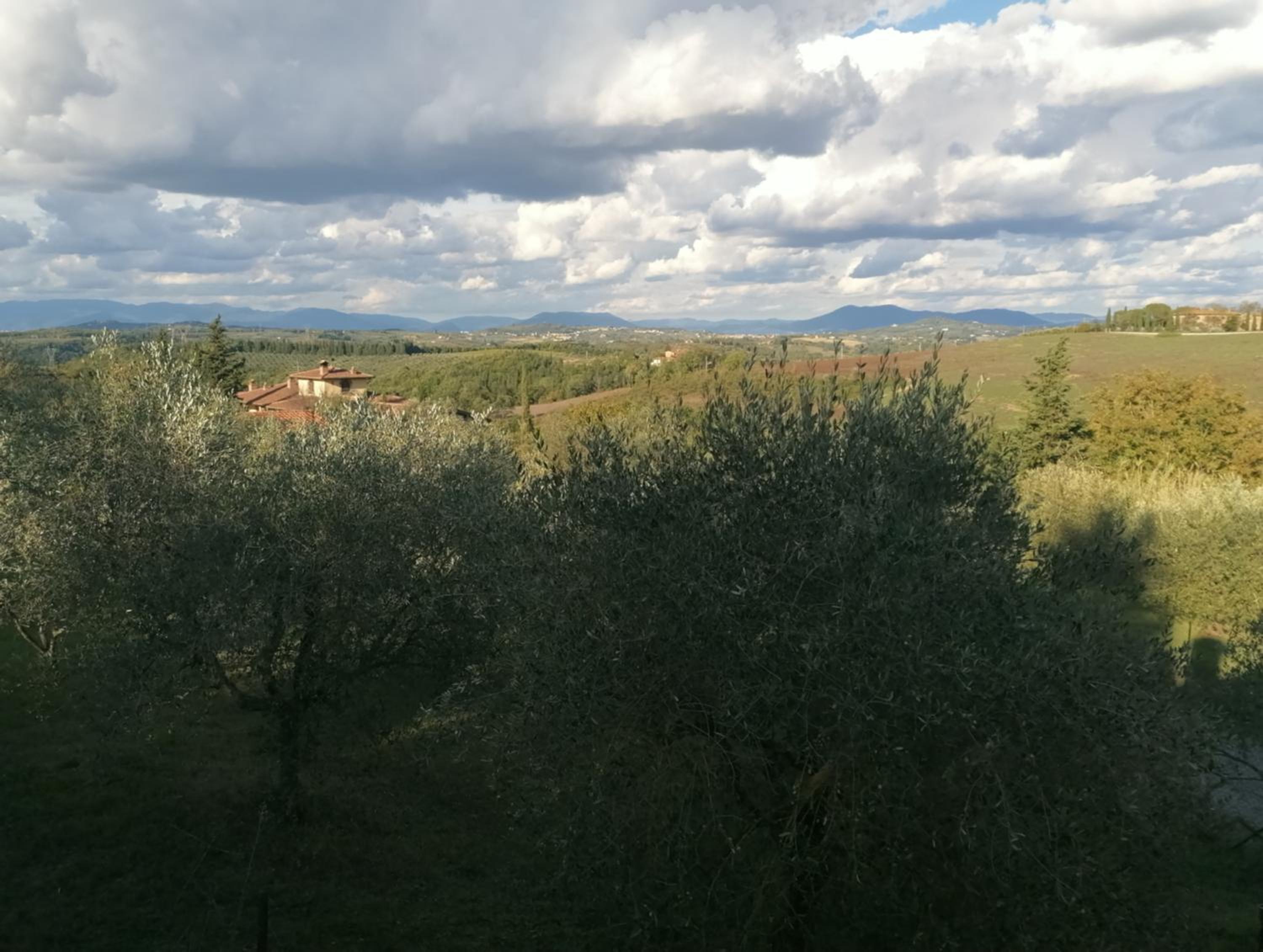 La Casa delle Rondini view 3
