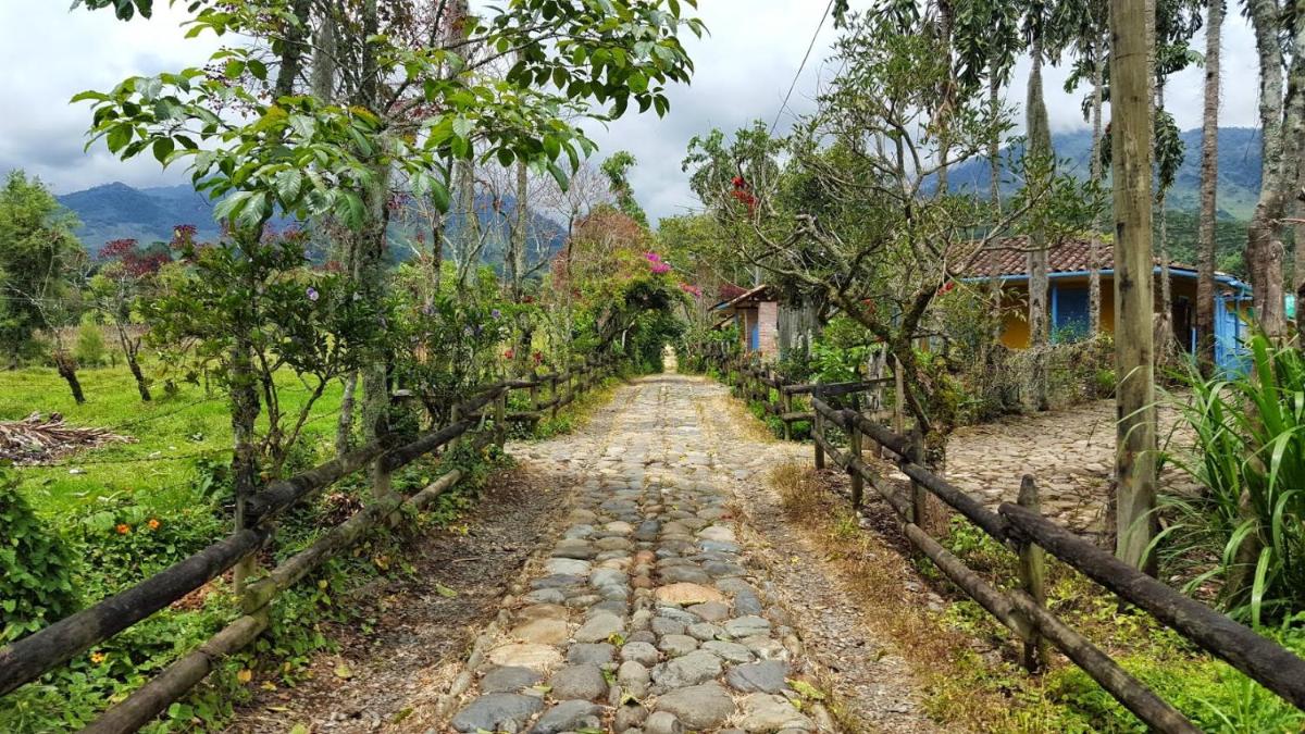 Jardín es Tuyo