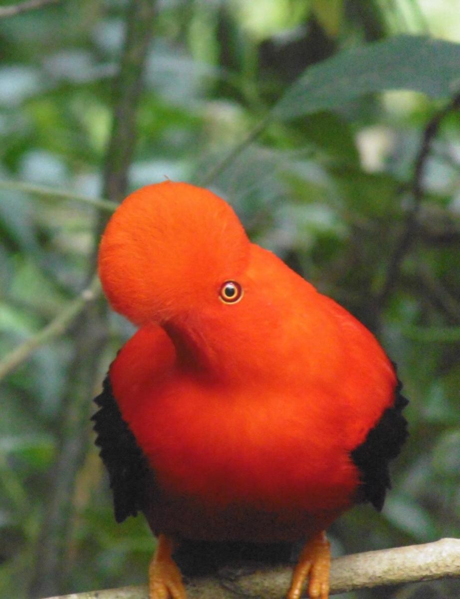 Jardín es Tuyo
