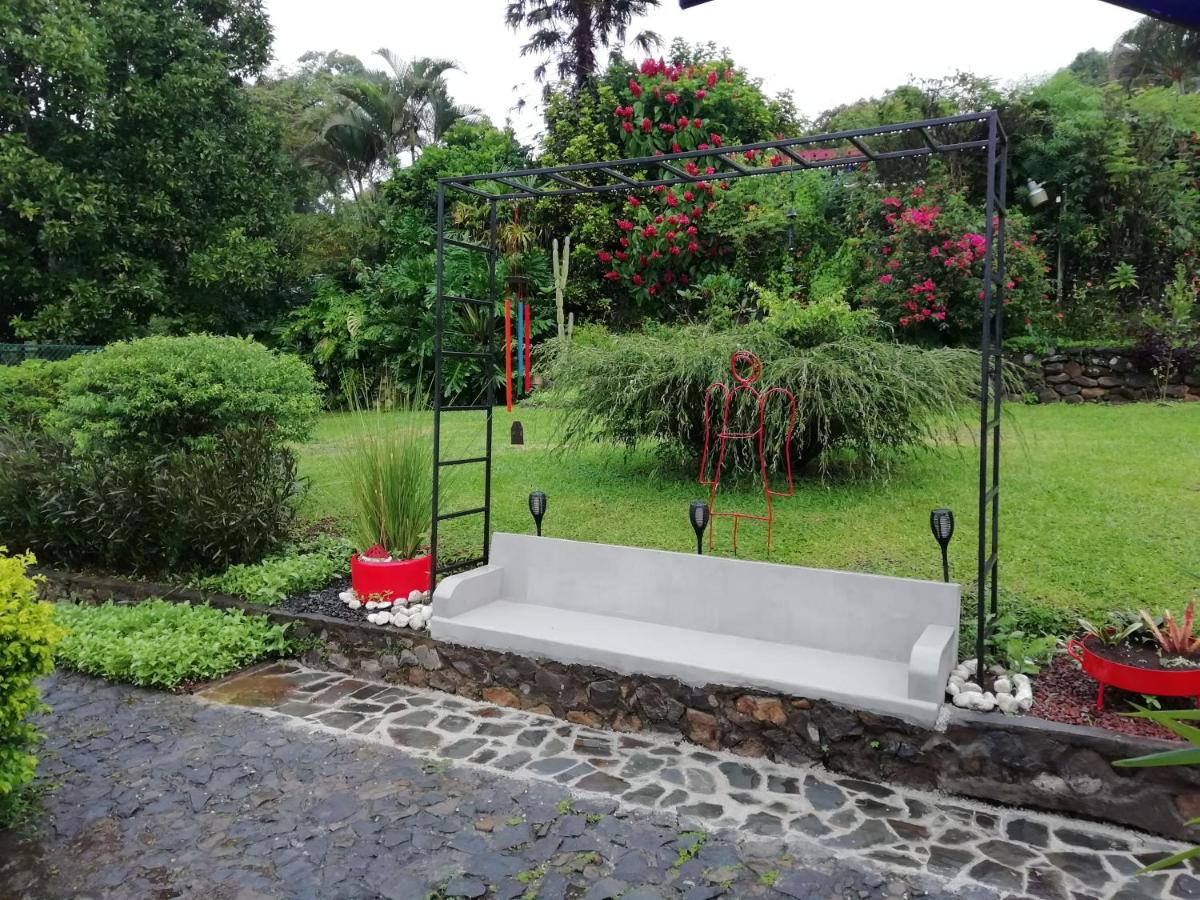 The House of Hummingbird view 3