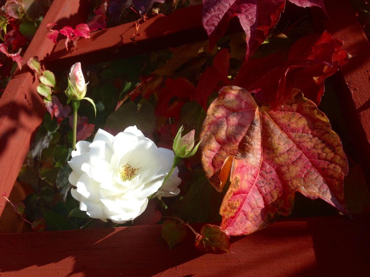Photo 35