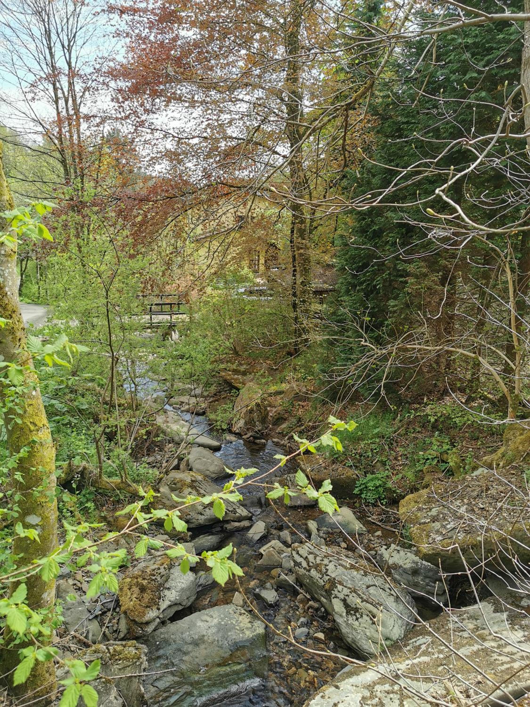 Photo 19