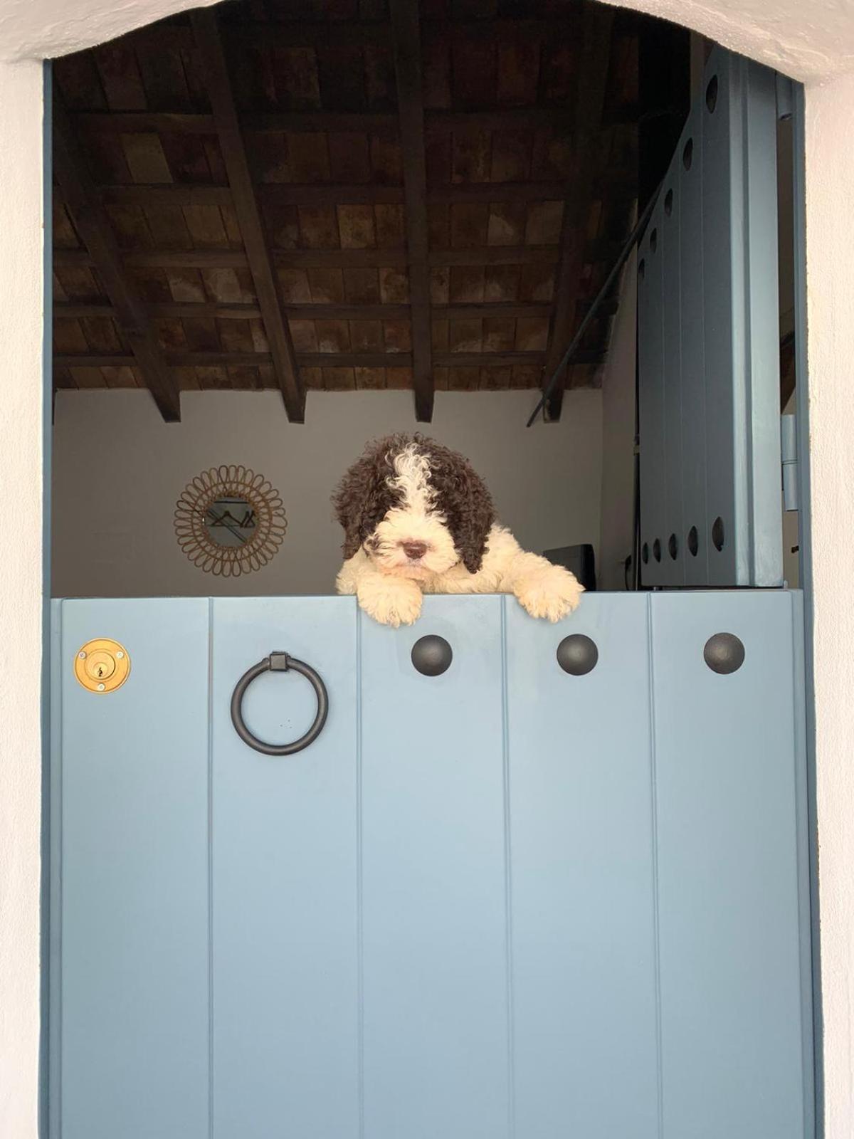 La Puerta Azul photo 1