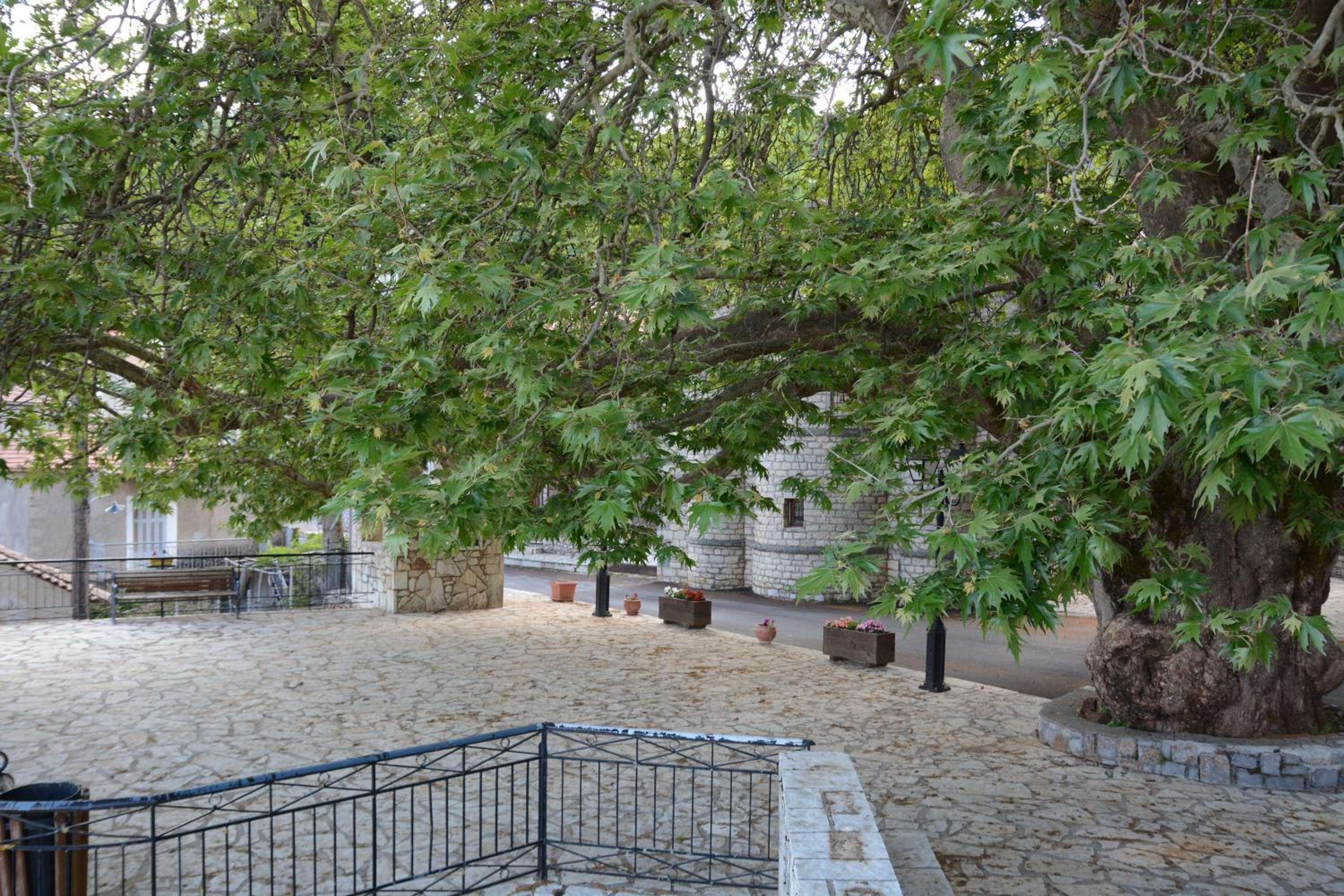 Villa Katerinas