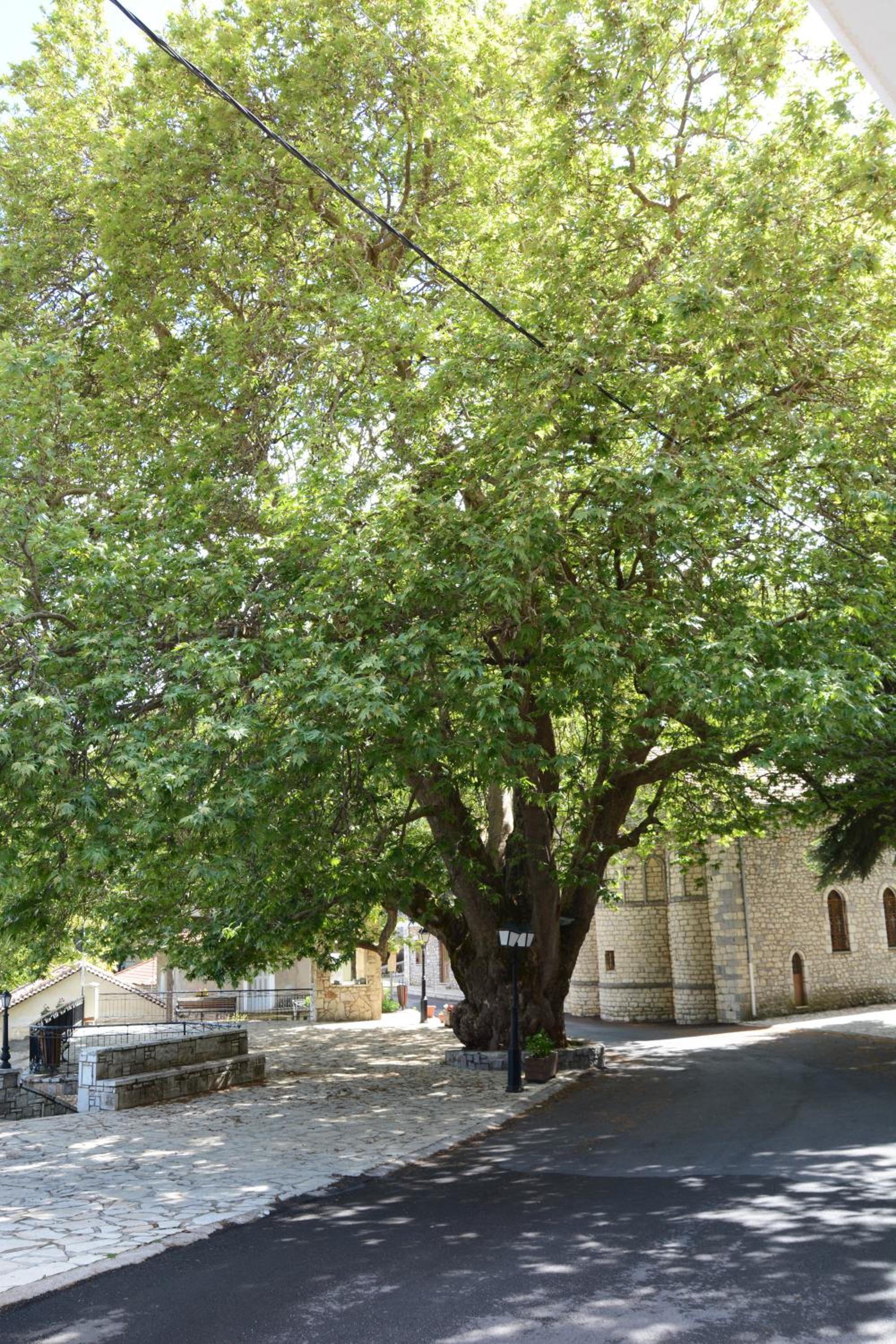 Villa Katerinas