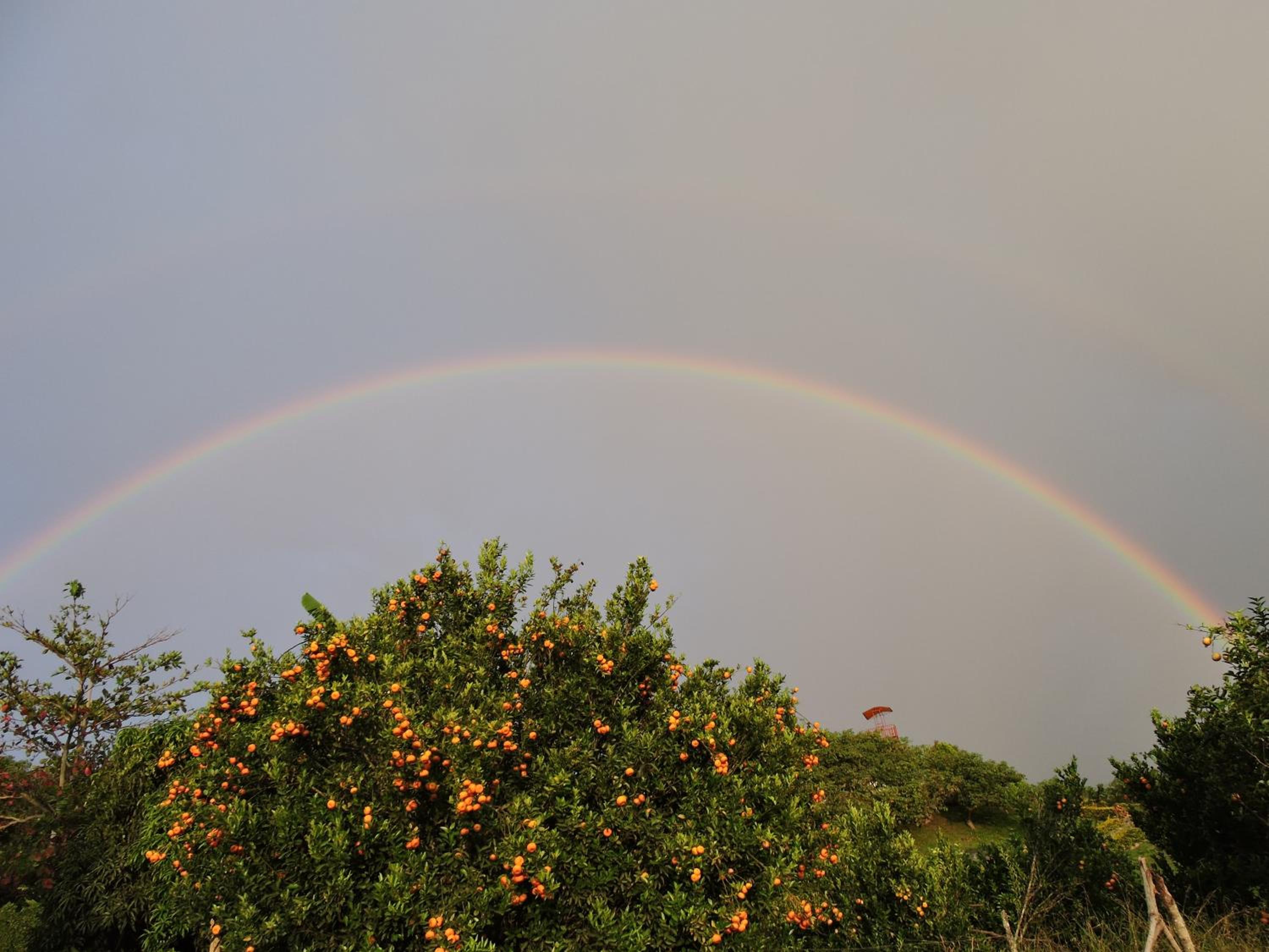 Eco-Cabanas Altozano Nimaima - Property Image 70