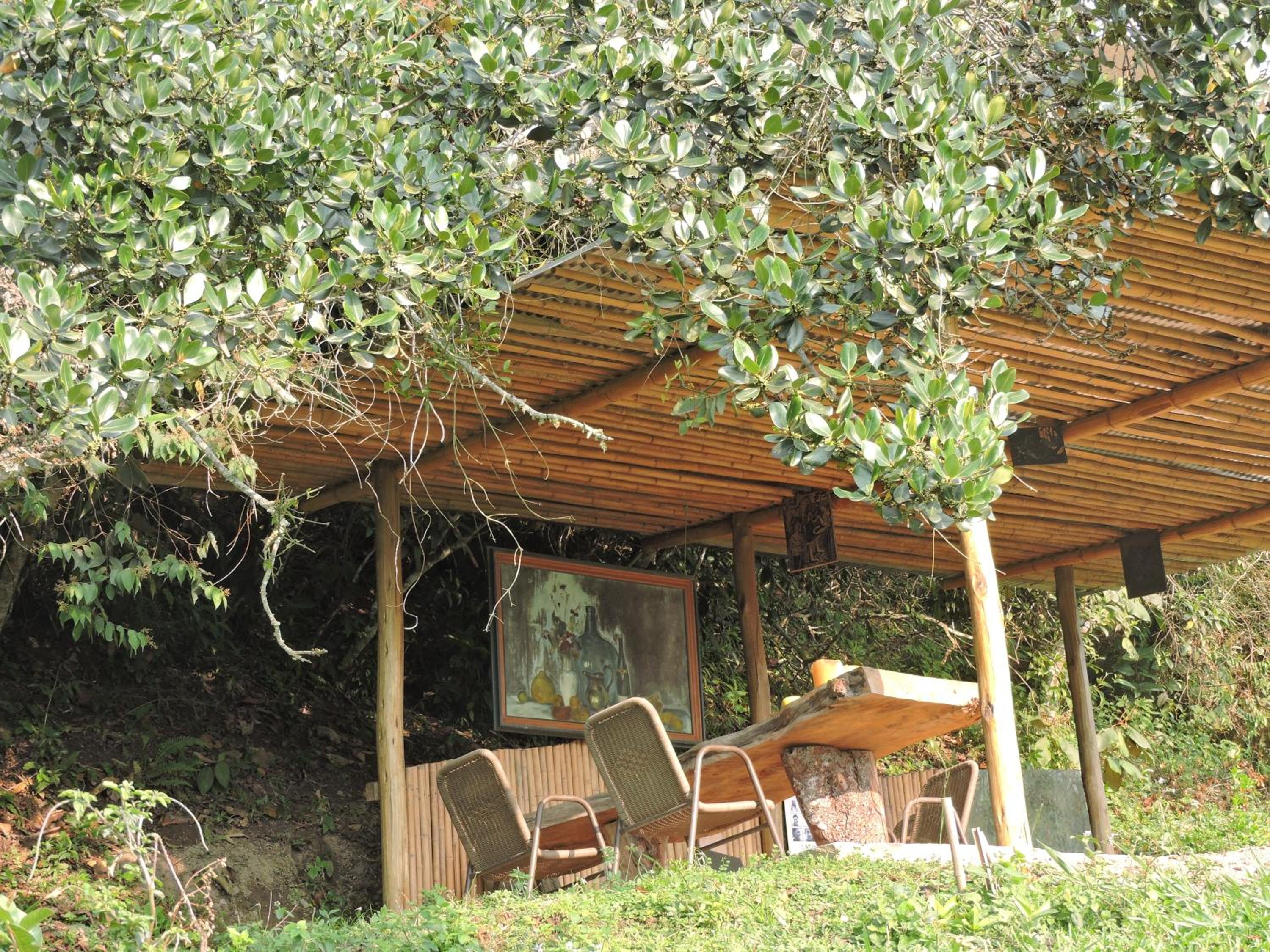 Eco-Cabanas Altozano Nimaima - Property Image 51