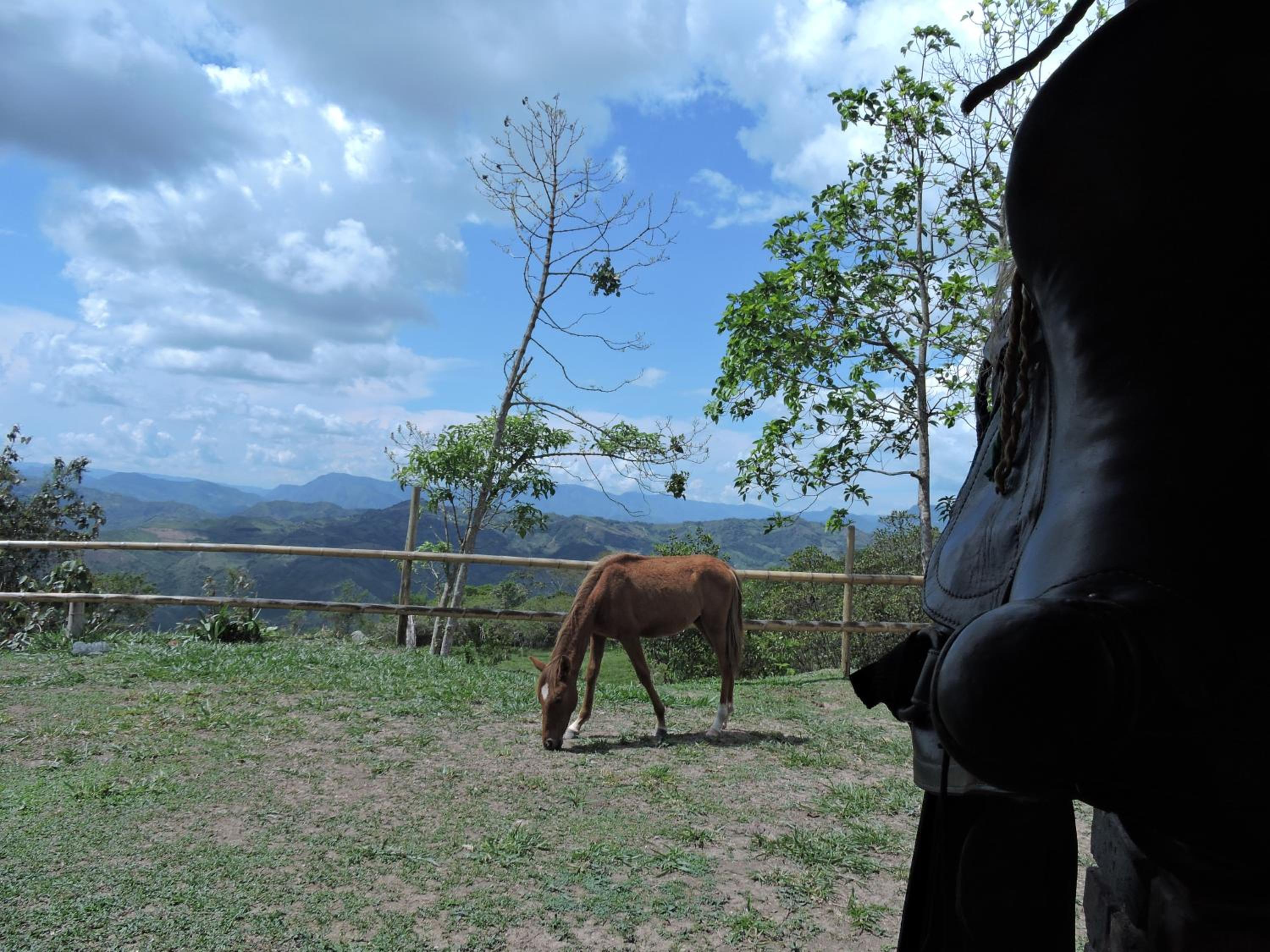 Eco-Cabanas Altozano Nimaima - Property Image 47