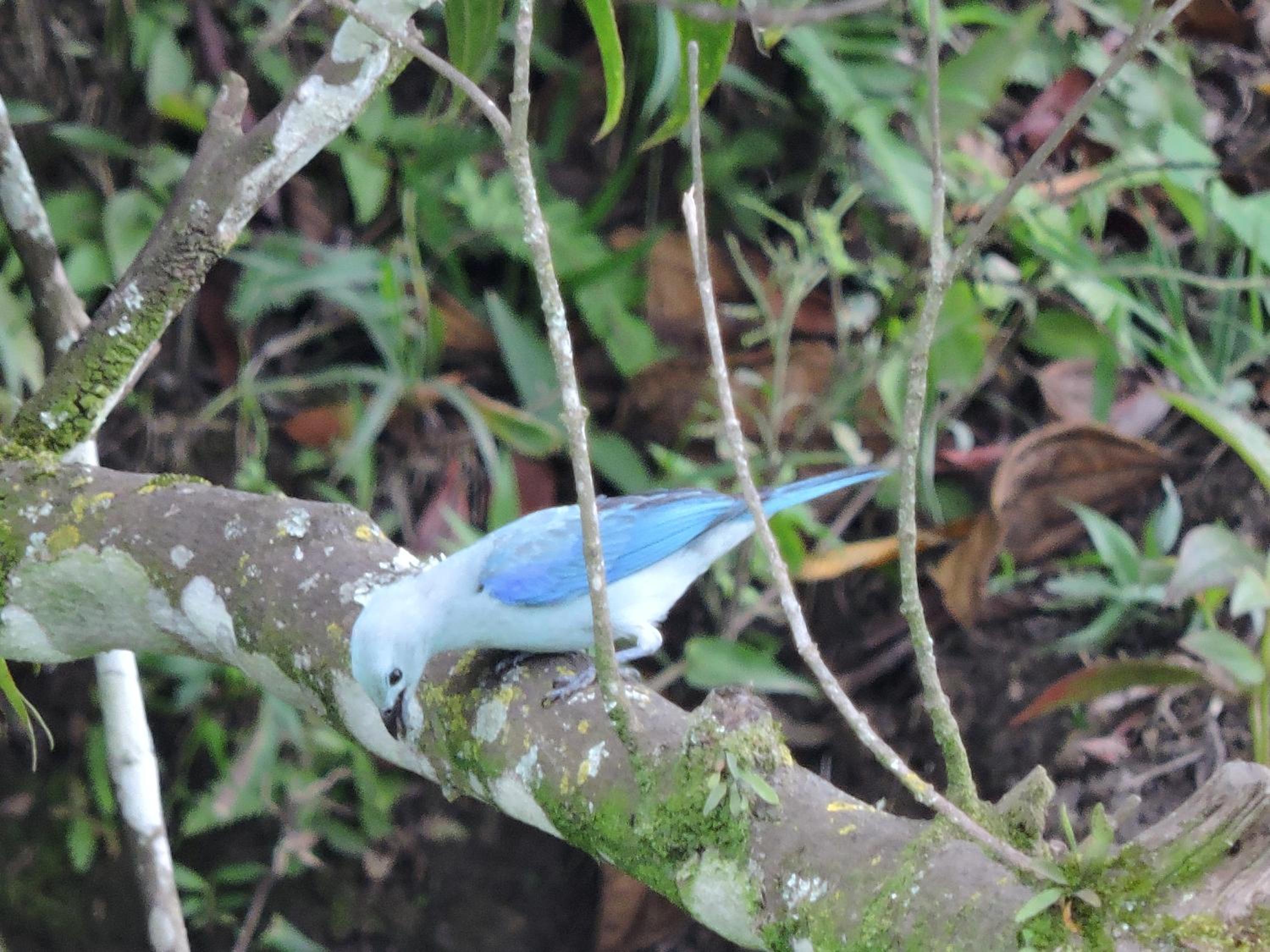 Eco-Cabanas Altozano Nimaima - Property Image 65