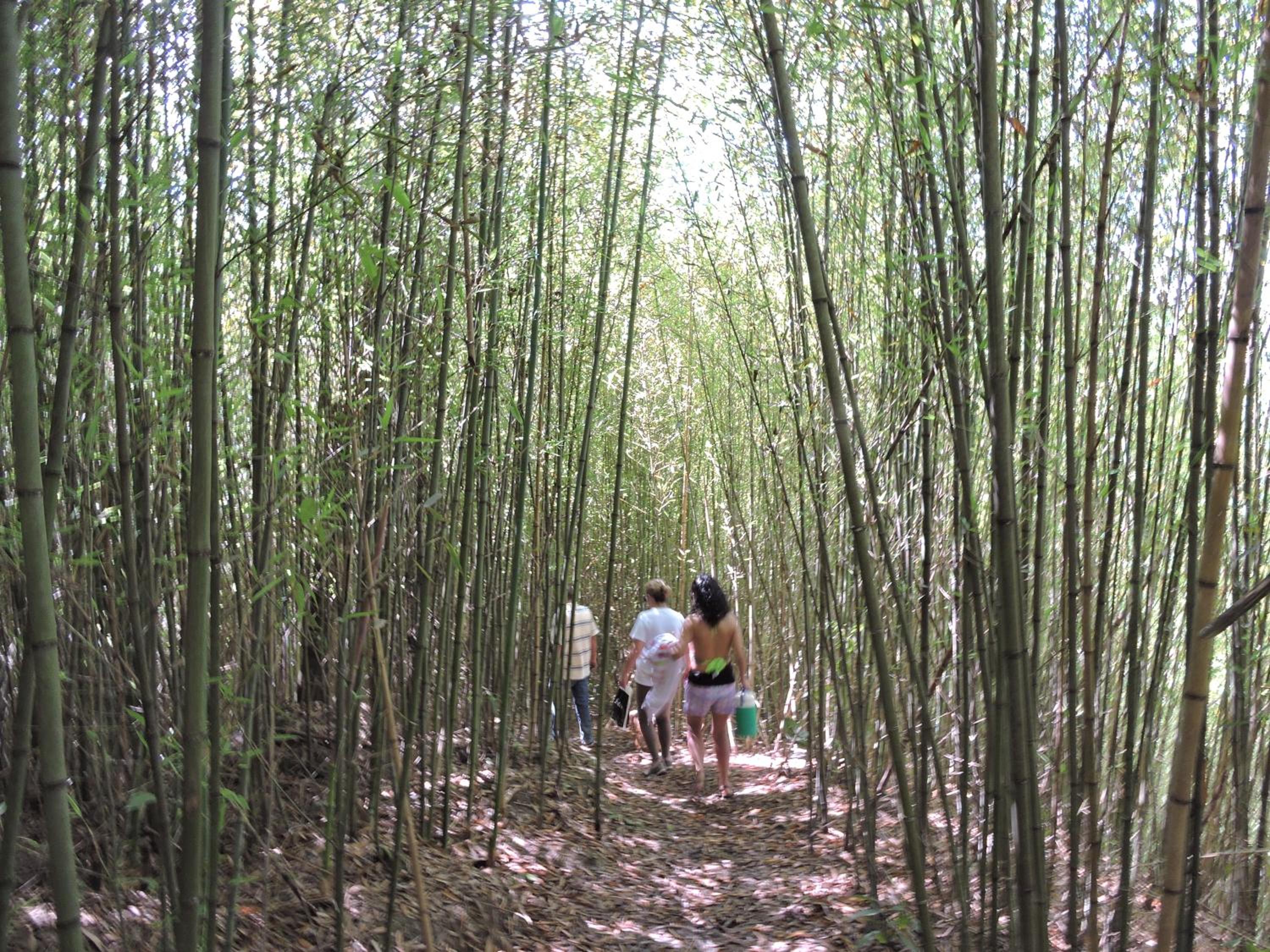 Eco-Cabanas Altozano Nimaima - Property Image 32