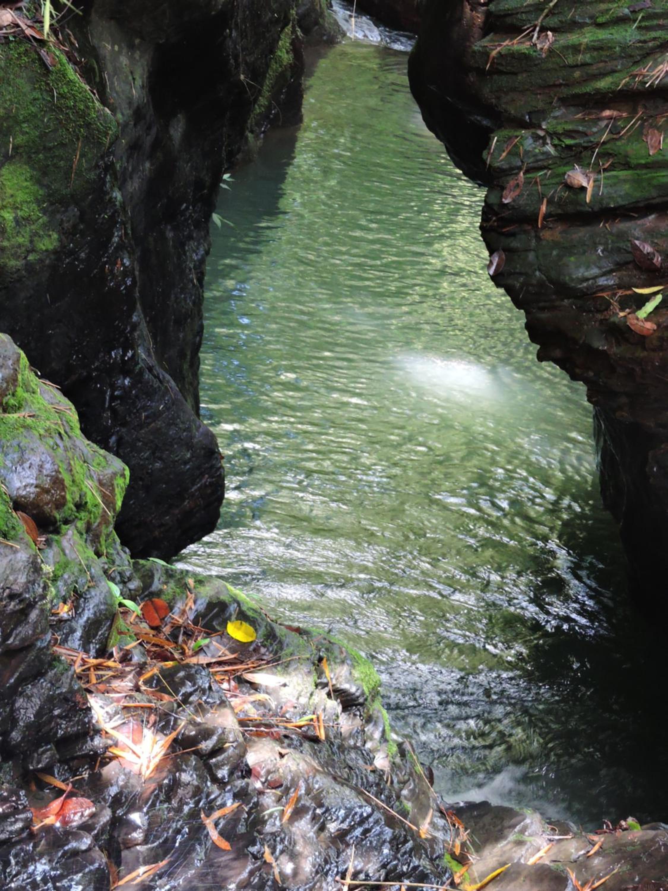 Eco-Cabanas Altozano Nimaima - Property Image 44