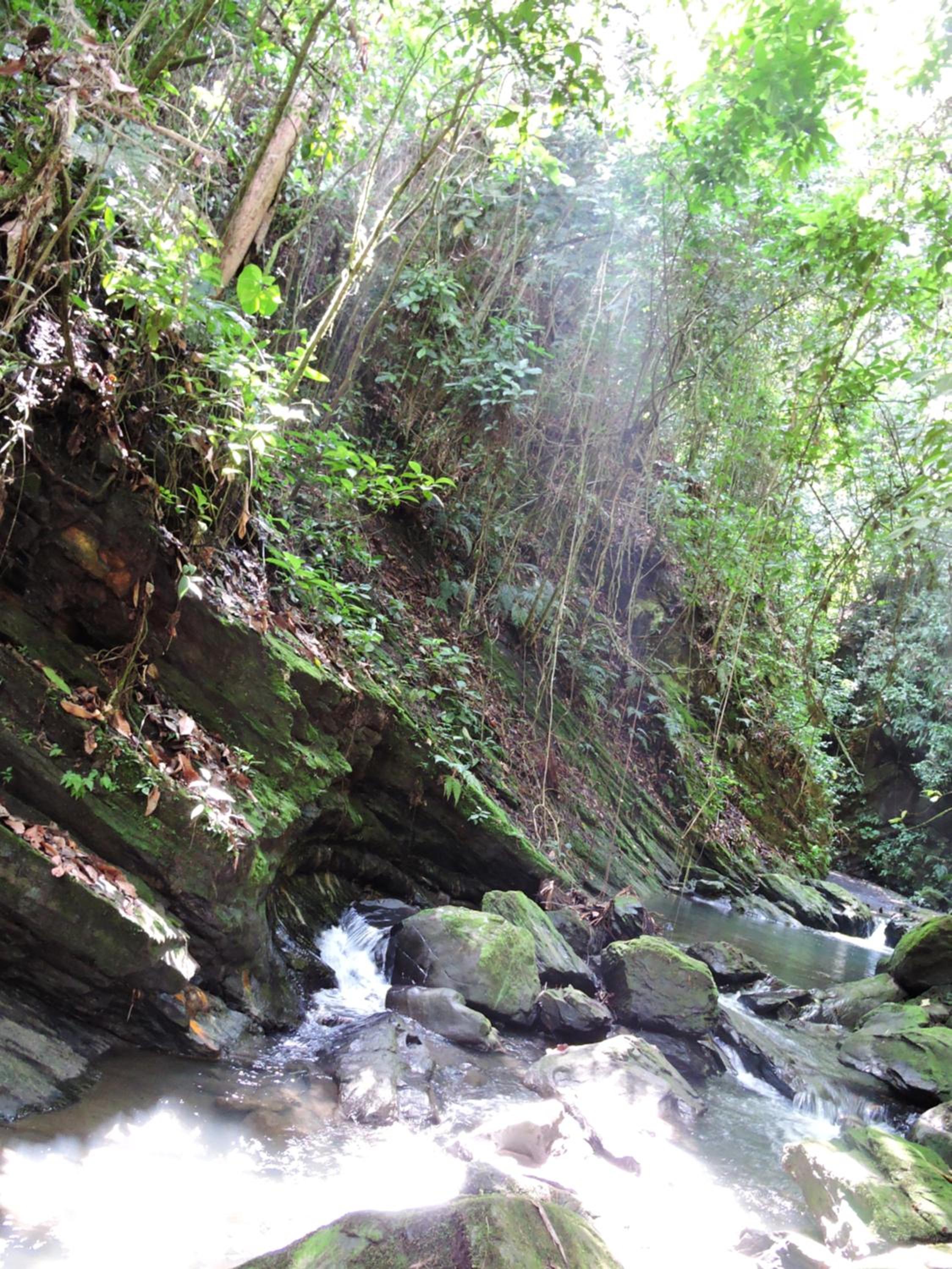 Eco-Cabanas Altozano Nimaima - Property Image 60