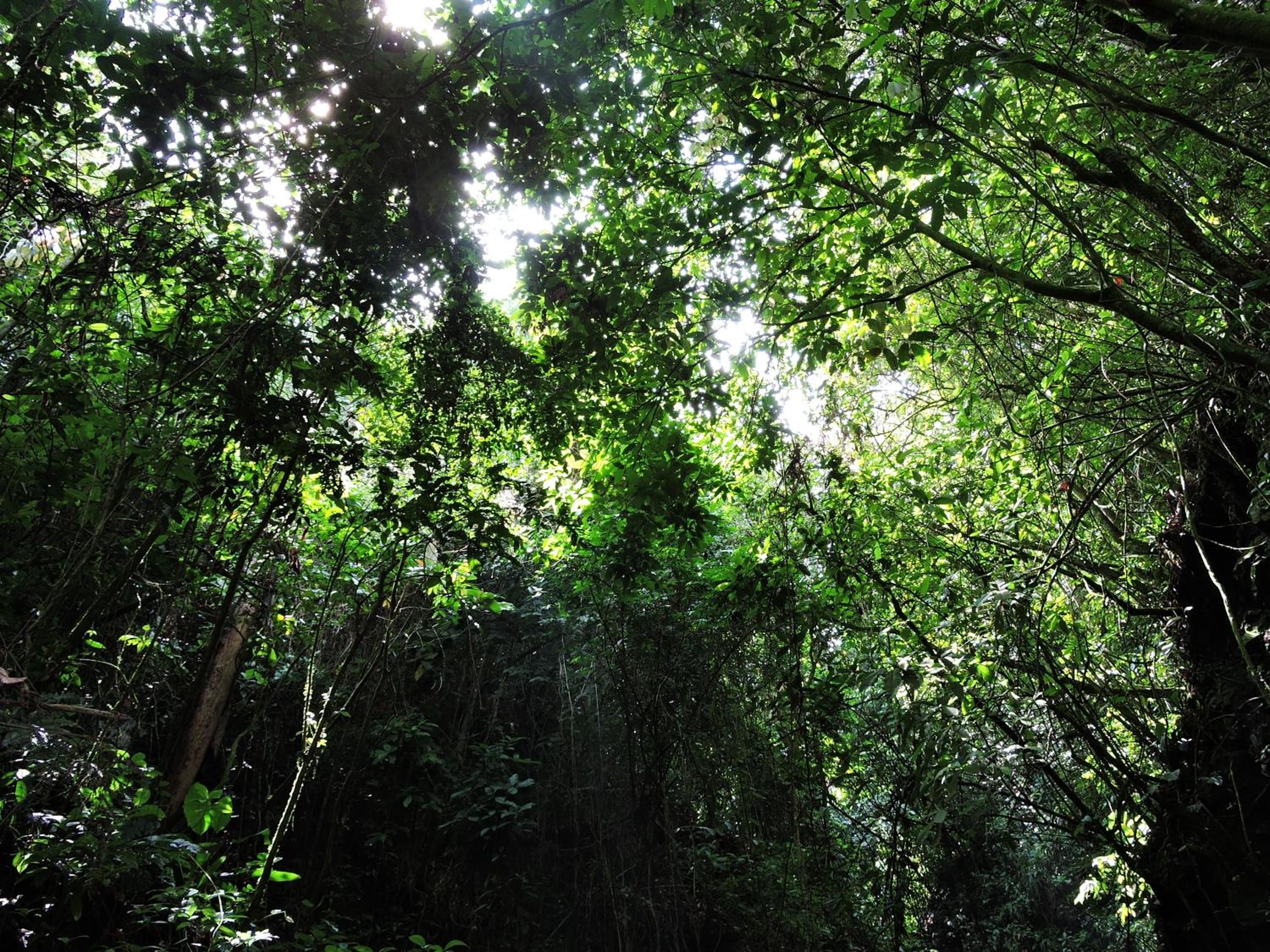 Eco-Cabanas Altozano Nimaima - Property Image 55