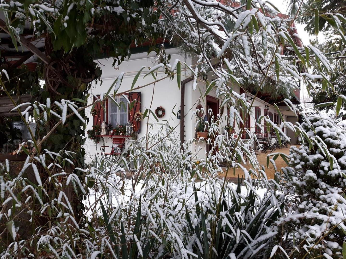 Garten Vendégház view 2