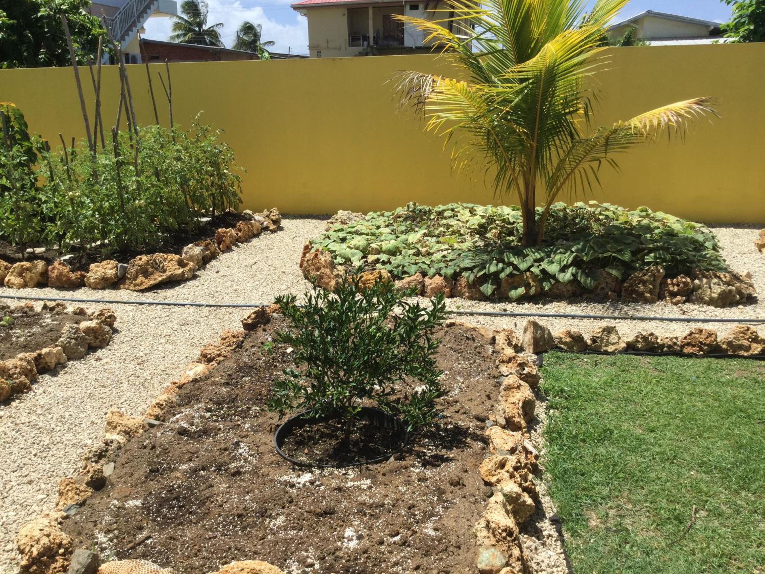 CC Best Villas Tobago