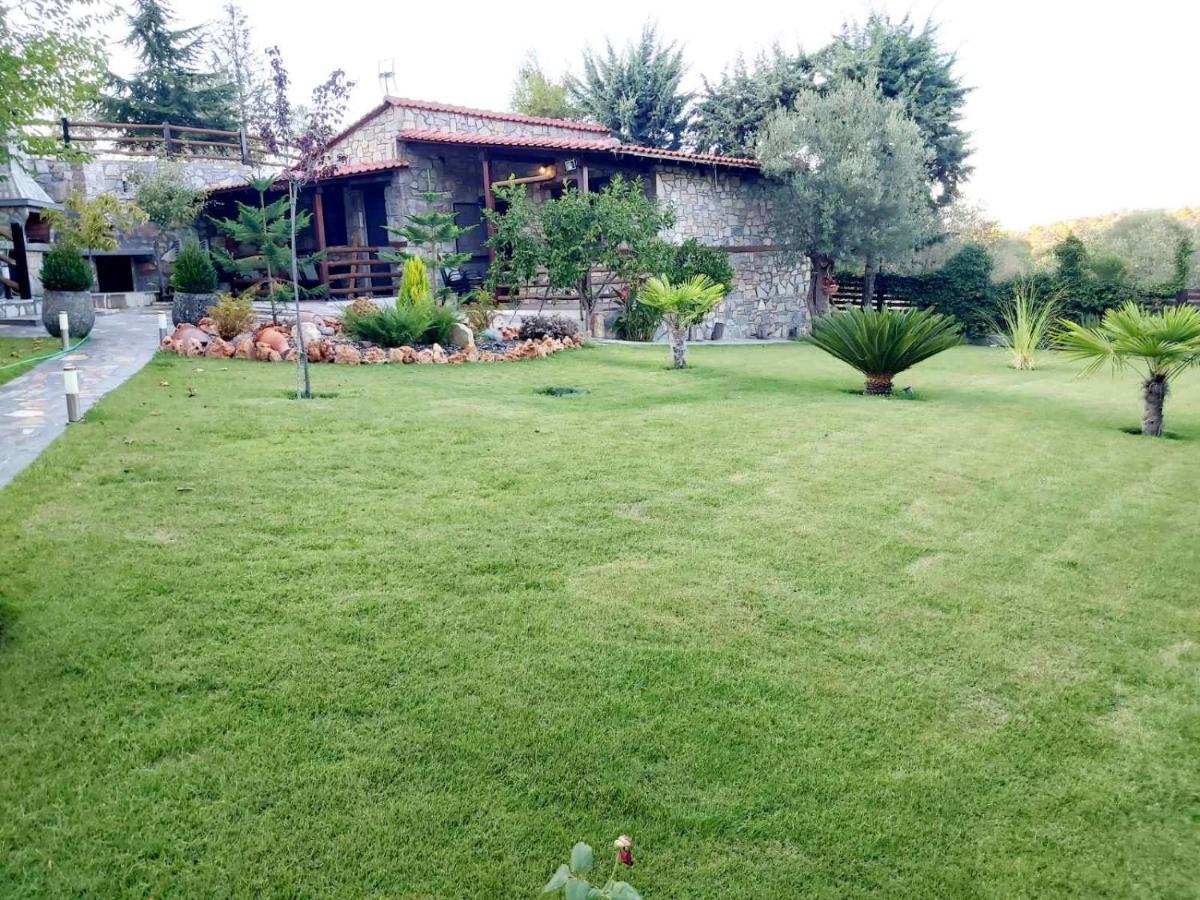 Photo 8