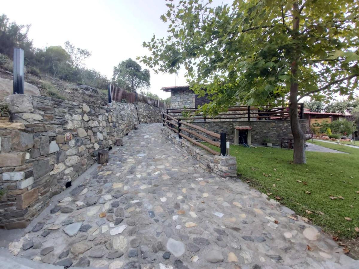 Photo 22