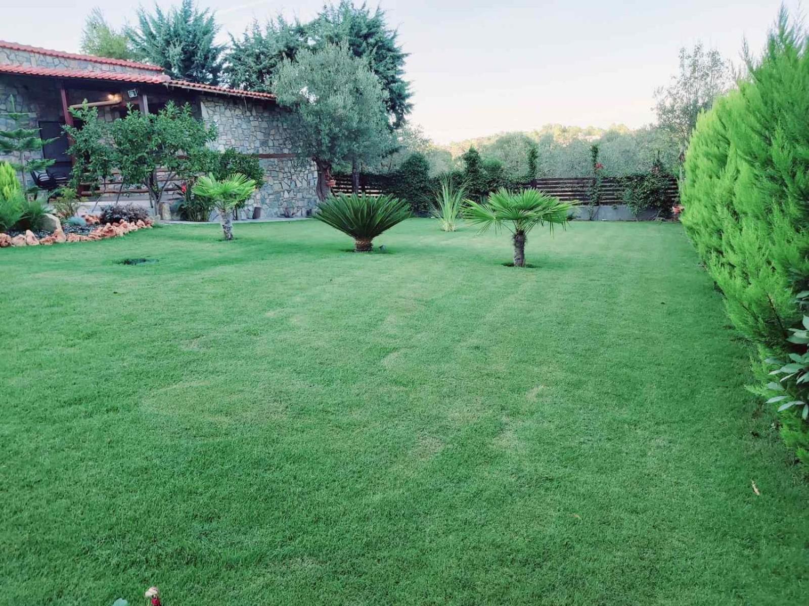 Dimitris' Villas - Villa 2 en Ormos Panagias