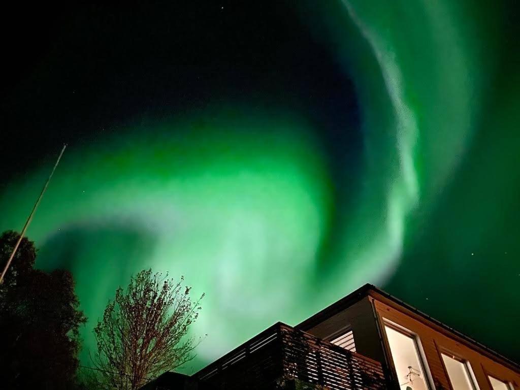 Waterfront Senja view 4