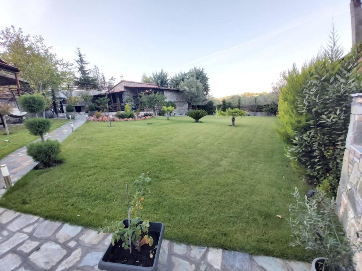 Photo 25