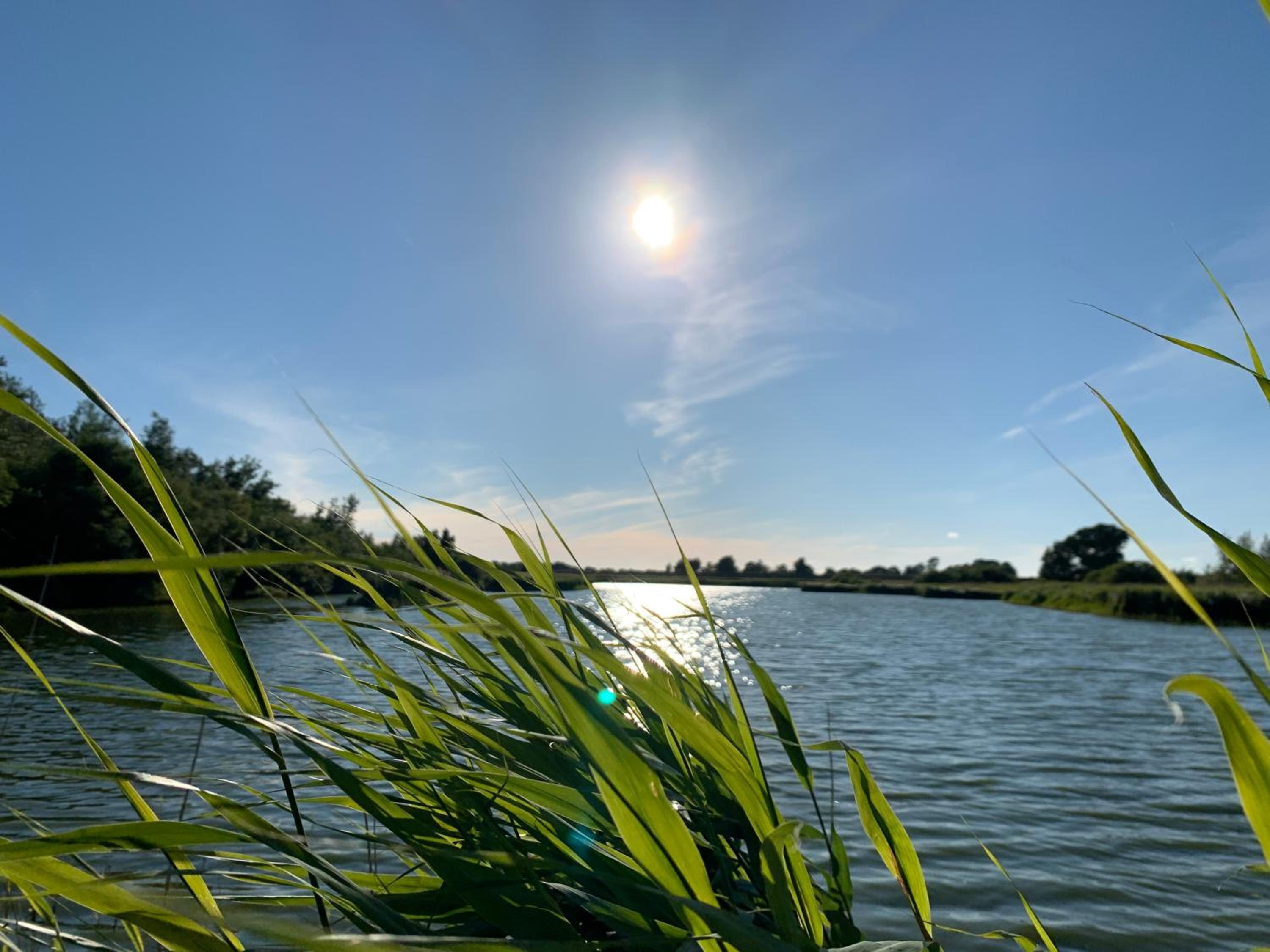 Ferienwohnung Suederbootfahrt - Ruheoase für Naturliebhaber in Katingsiel zwischen Tönning und St Peter Ording perfekt für Radtouren view 4