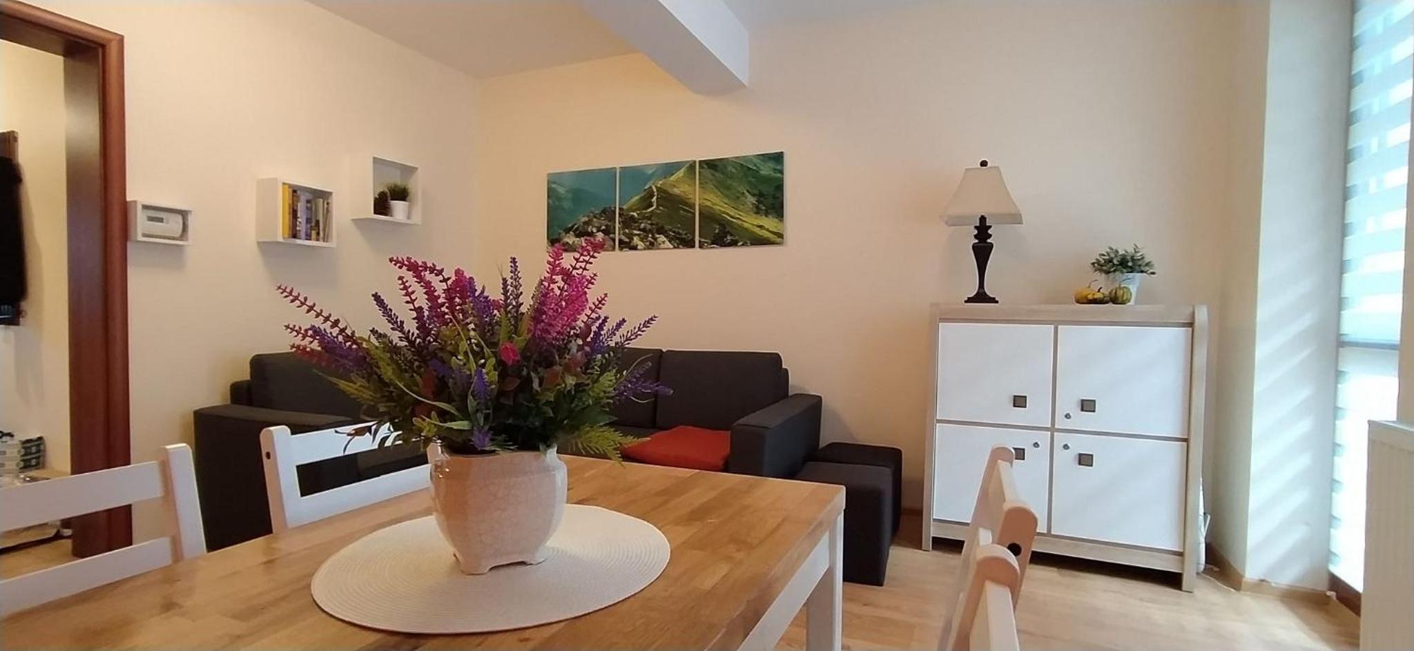 Apartament Akuratny Zakopane view 2