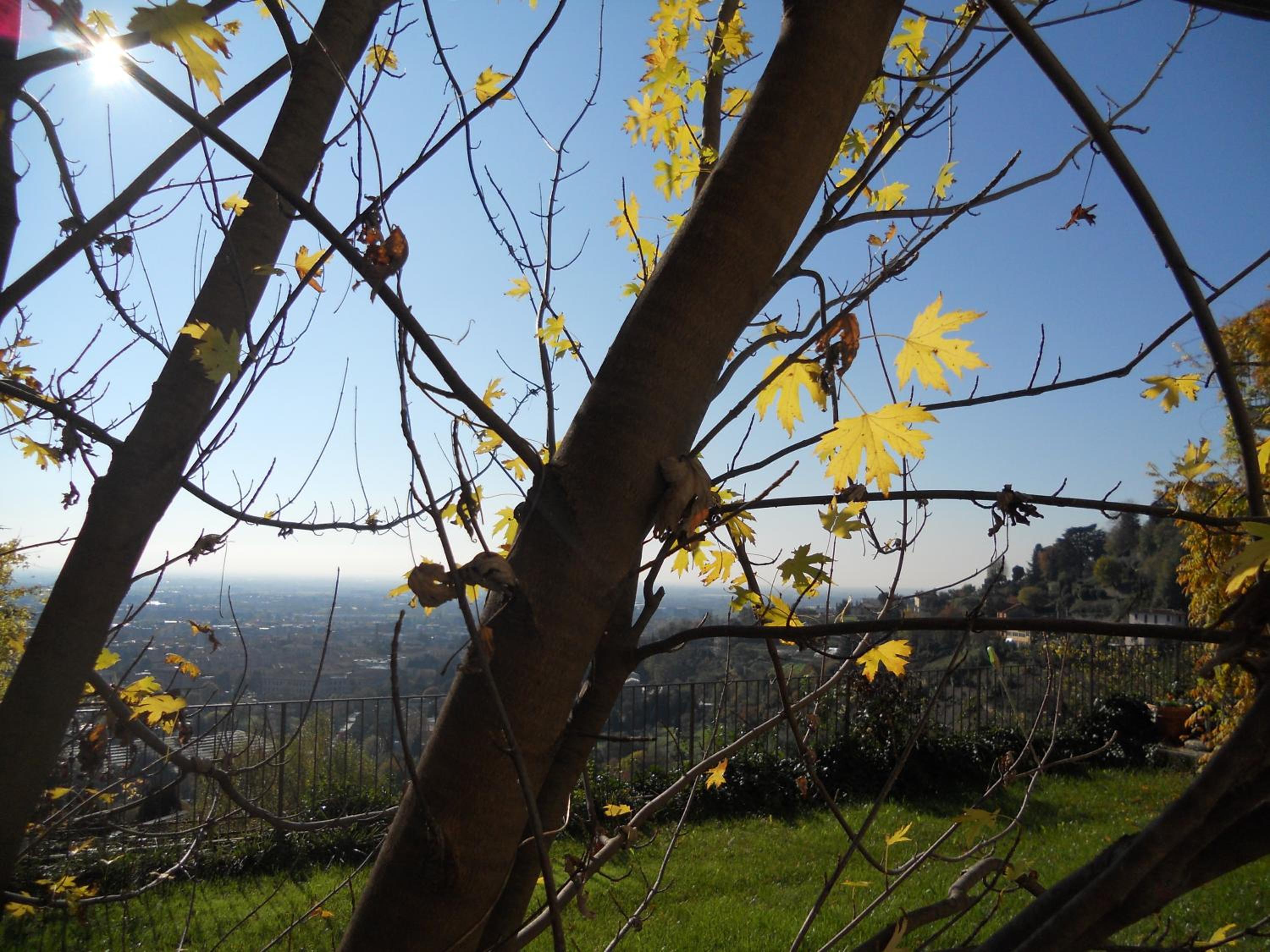 Bed & Breakfast Sant'Erasmo view 3