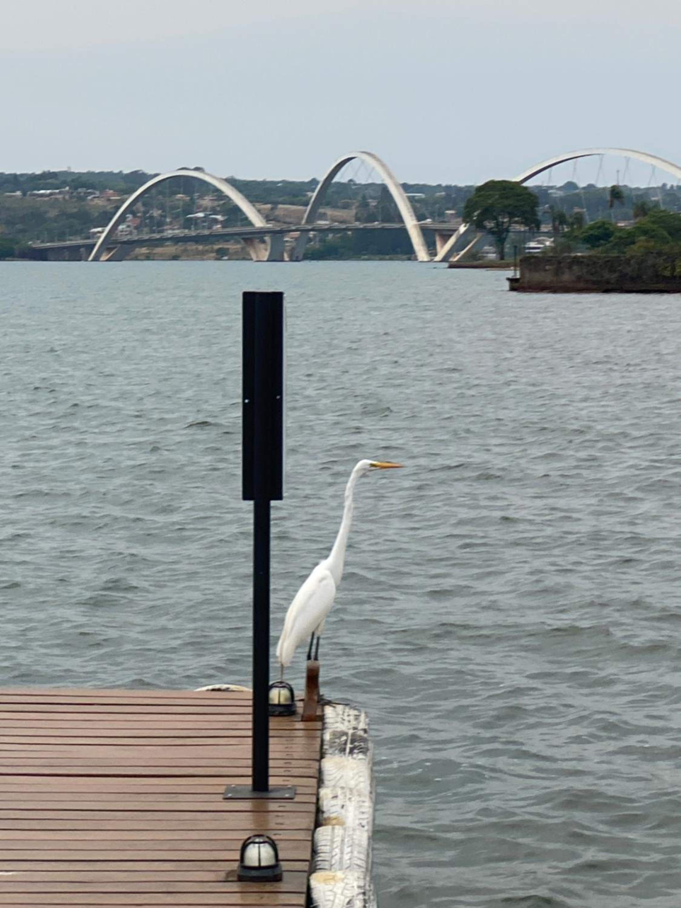 Brisas do Lago - apartamento 4