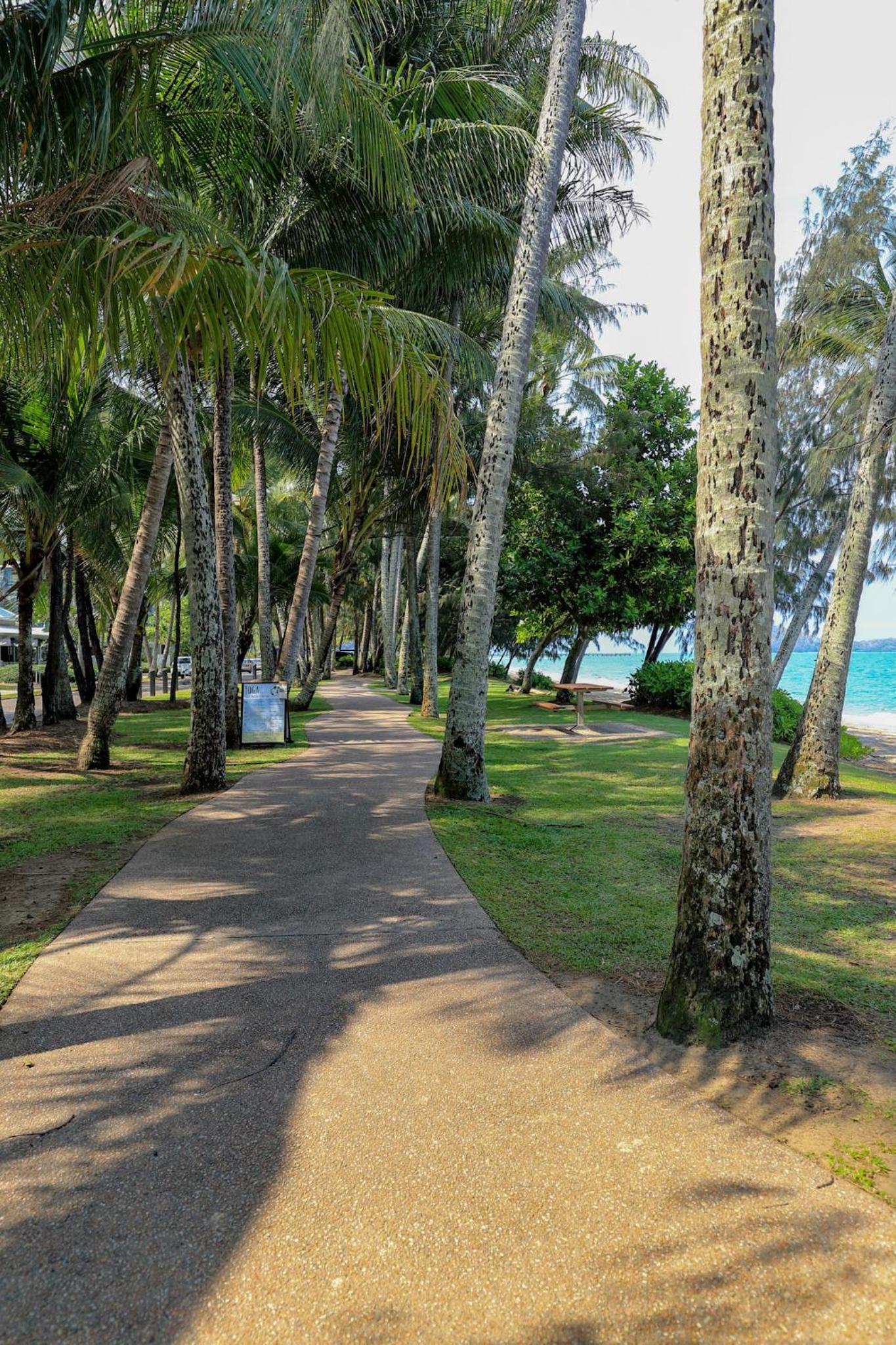 Palm Cove Beach Club Apartment - Privately Managed view 5