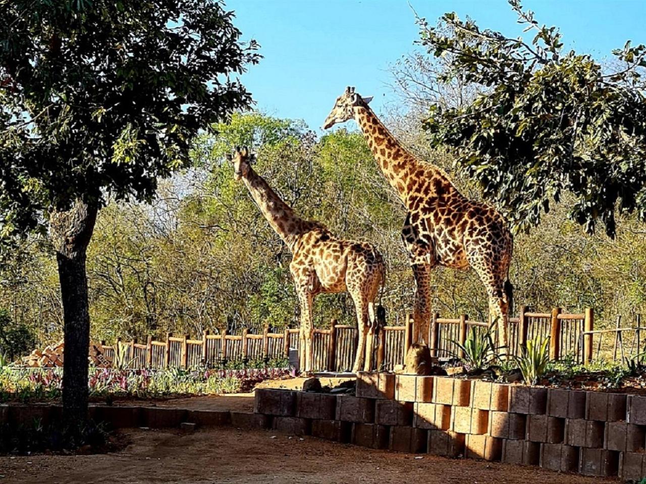 Hazyview Vacations - The Zarafa - Property Image 50