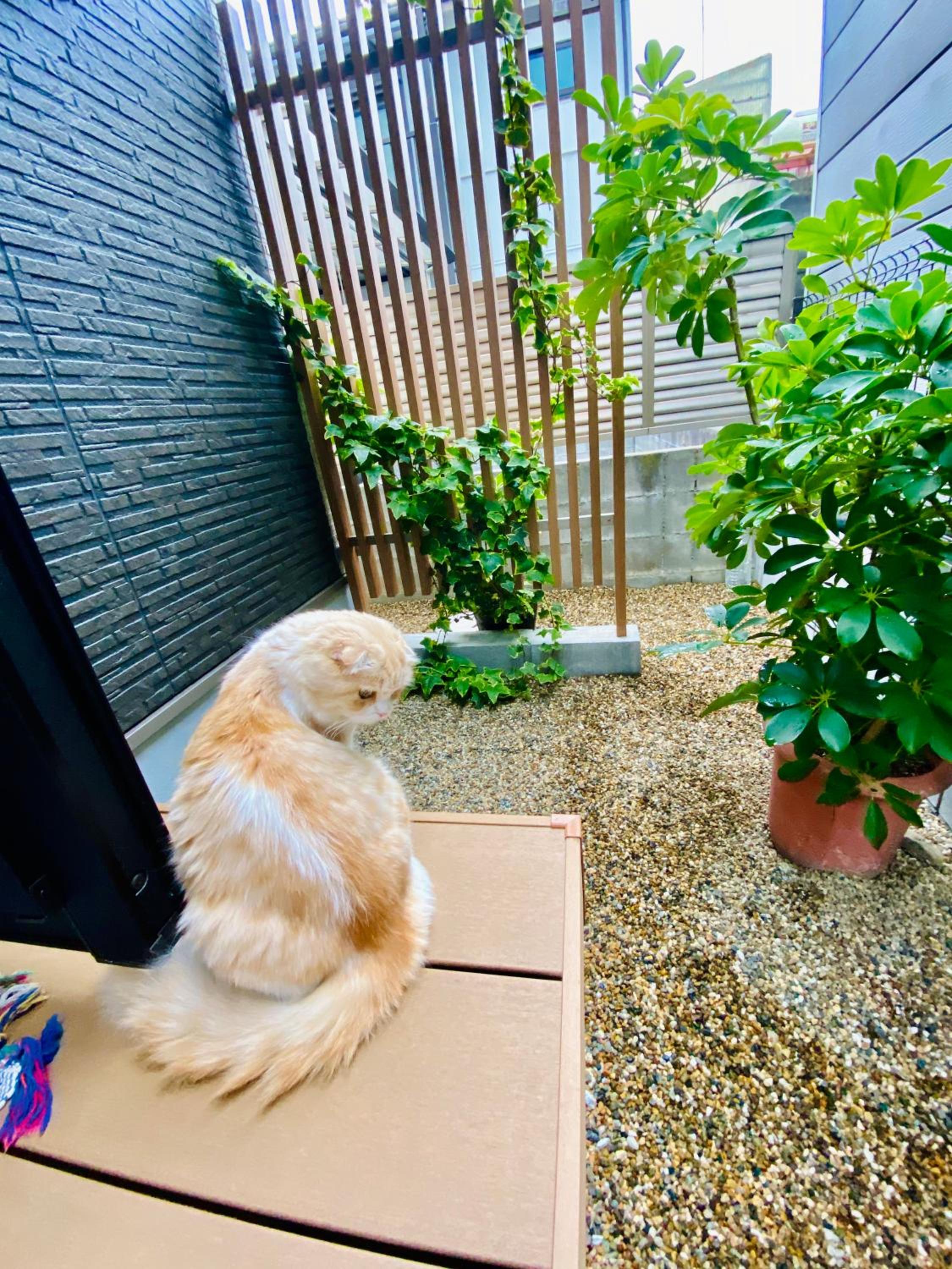 遥華-Haruka House view 2